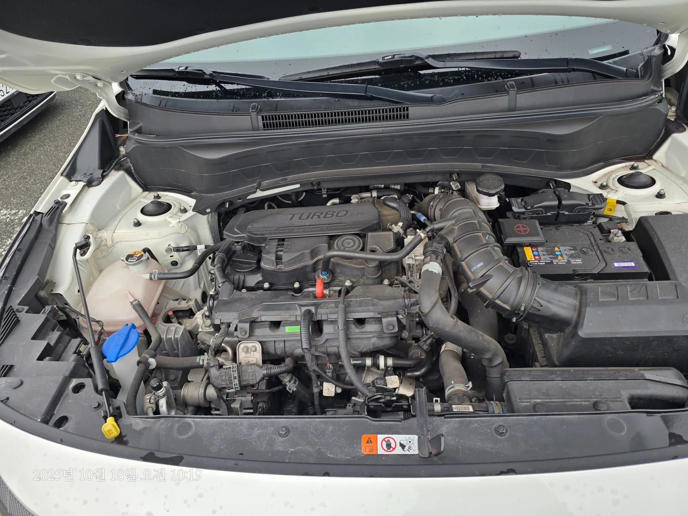 Kia Seltos Gasoline 1.6 Turbo 2WD Gravity, 2023 г. 20582 км. — фото 6