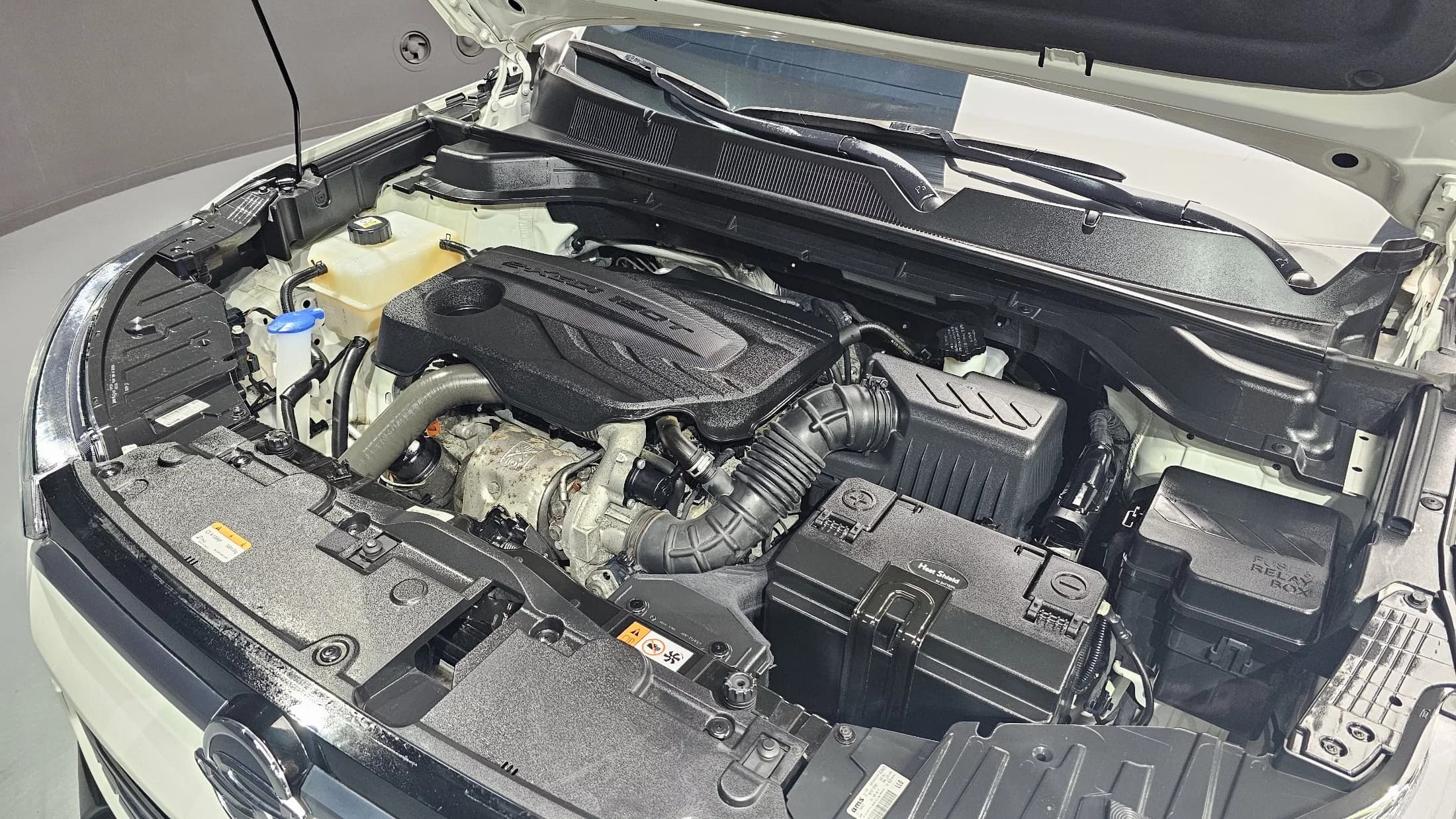 SsangYong KORANDO Gasoline 1.5 4WD C7, 2022 г. 50282 км. — фото 20
