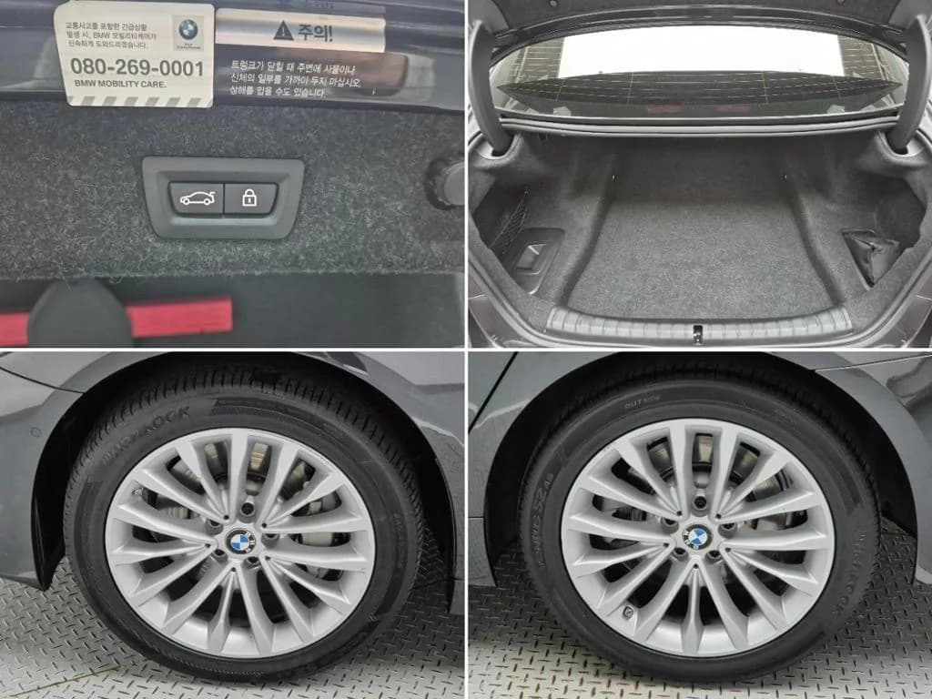 BMW 5-Series 530i xDrive Luxury, 2021 г. 128847 км. — фото 5