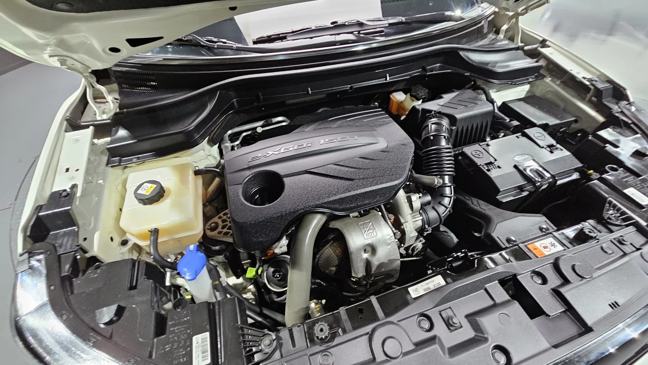 SsangYong TIBOLI Gasoline 1.5 2WD V3, 2021 г. 45975 км. — фото 6