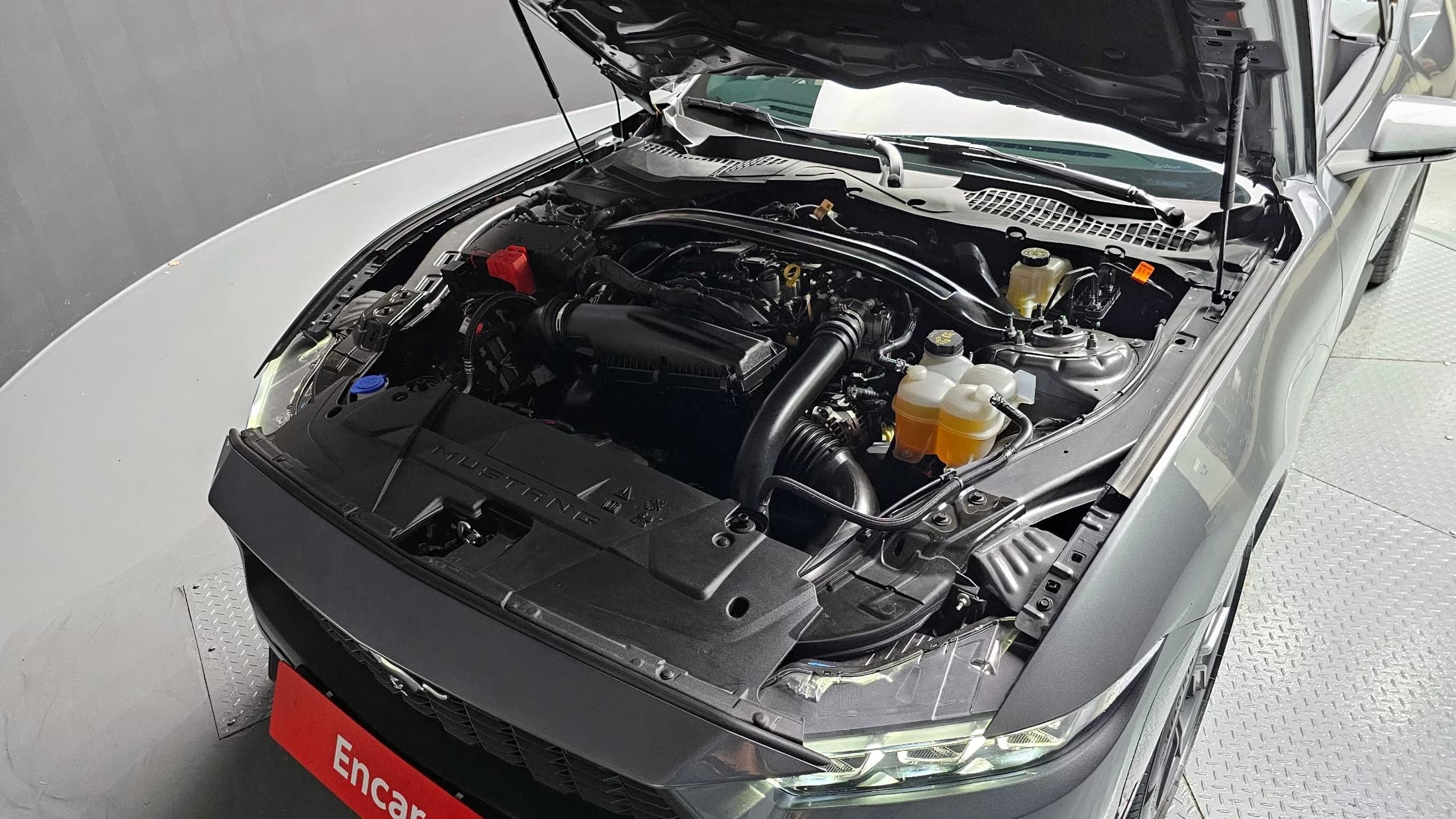 Ford MUSTANG 2.3 Ecoboost Premium Convertible, 2024 г. 3907 км. — фото 6