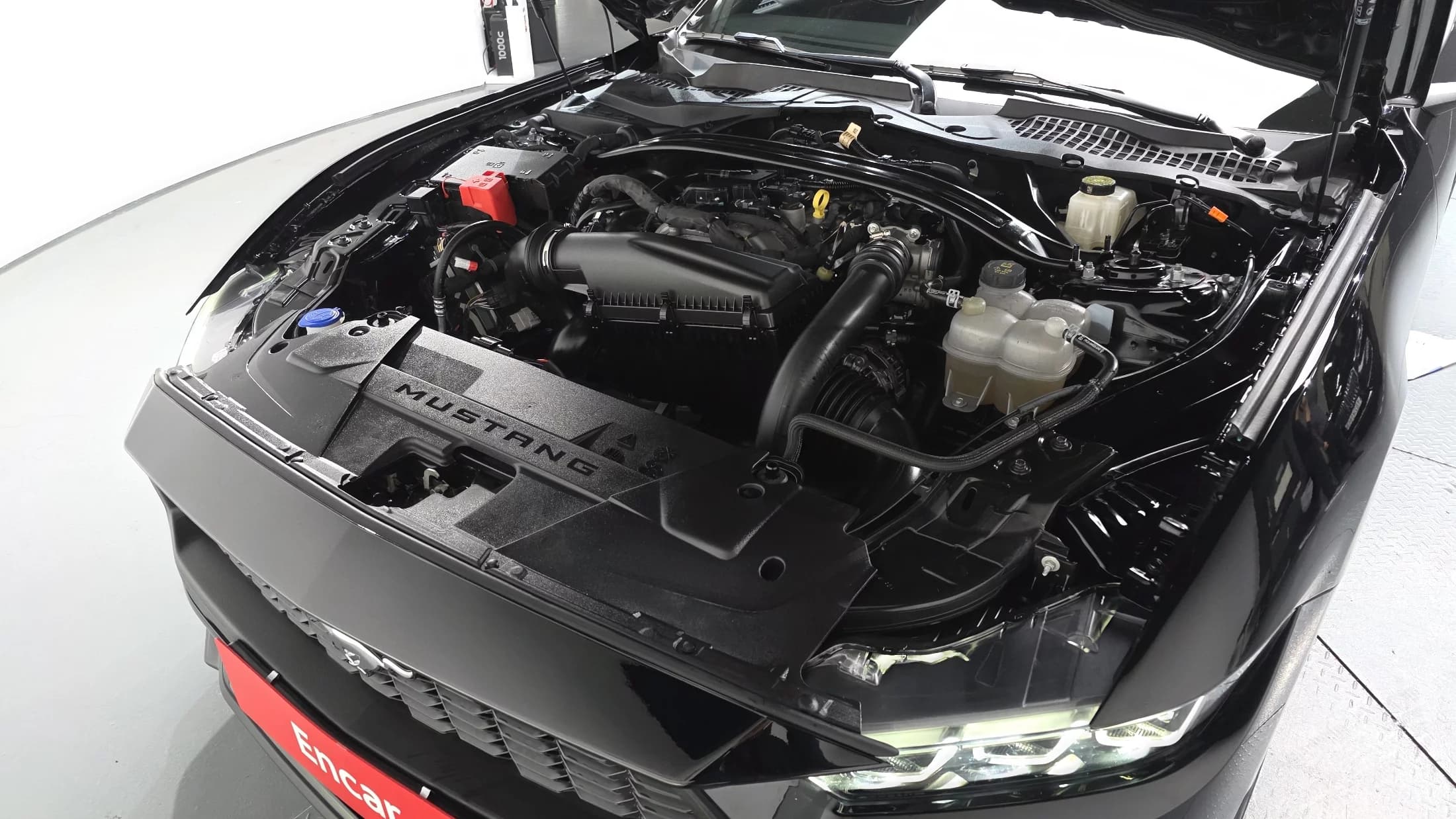 Ford MUSTANG 2.3 EcoBoost Premium Coupe, 2024 г. 9230 км. — фото 5