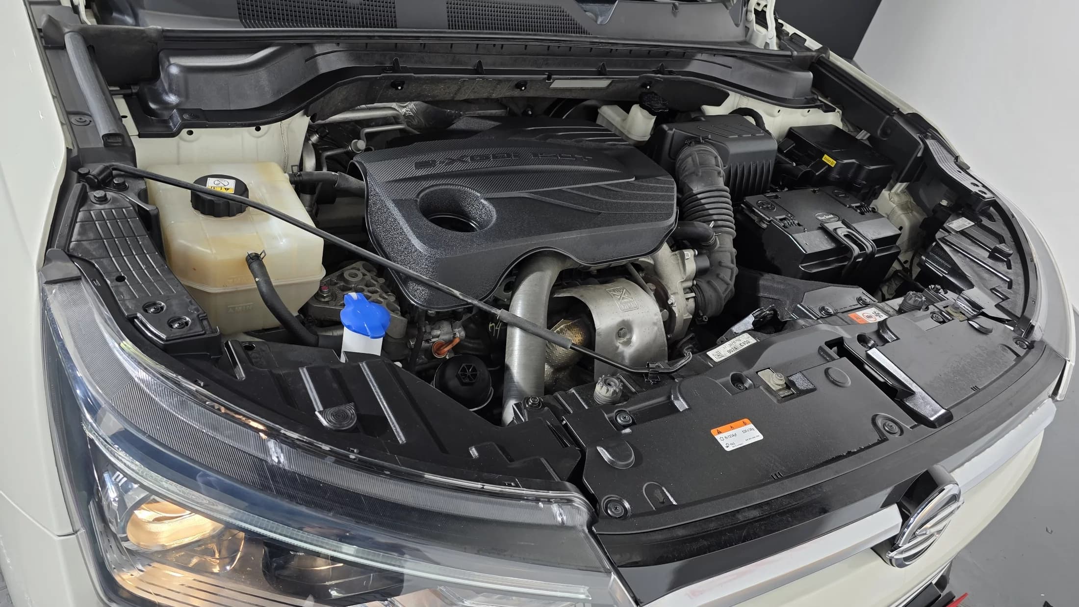 SsangYong KORANDO Gasoline 1.5 2WD C5 Plus, 2021 г. 100033 км. — фото 6