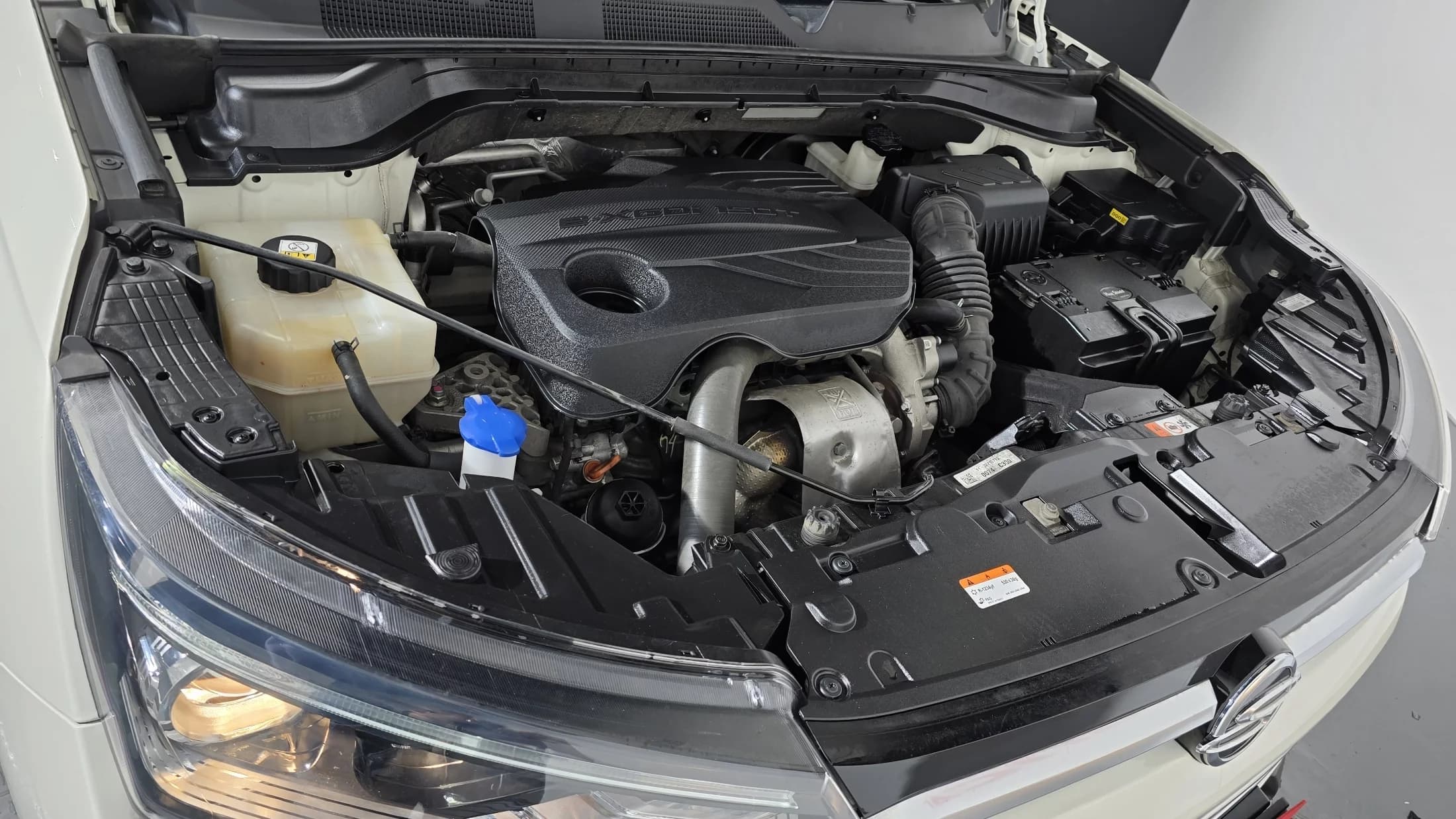 SsangYong KORANDO Gasoline 1.5 2WD C5 Plus, 2021 г. 100036 км. — фото 5