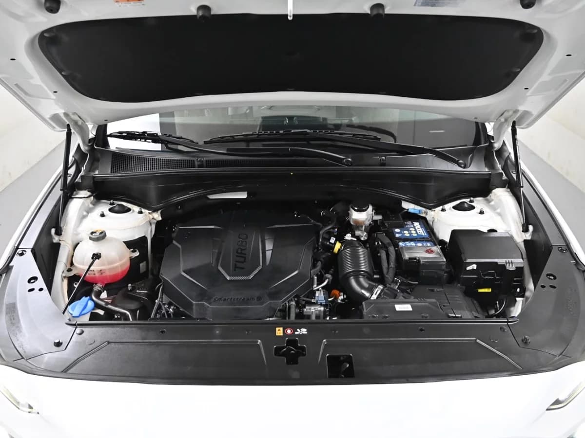 Hyundai Santa Fe Diesel 2.2 4WD Prestige, 2021 г. 81011 км. — фото 6