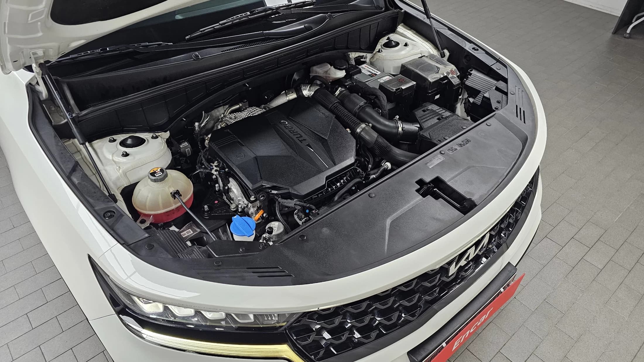 Kia Sorento Gasoline 2.5T 2WD Trendy, 2022 г. 79907 км. — фото 6
