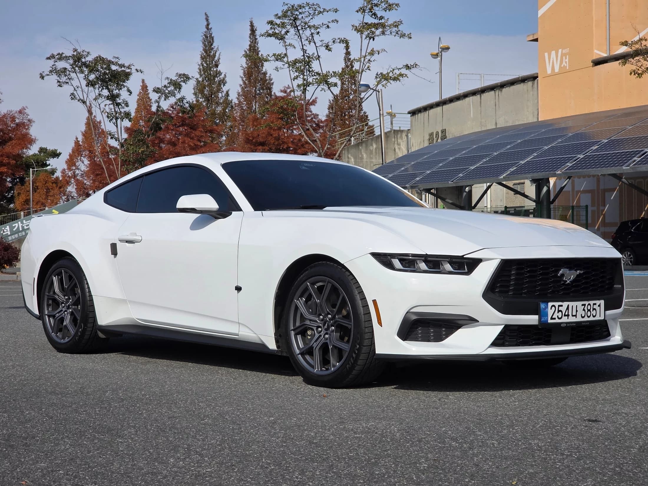 Ford MUSTANG 2.3 EcoBoost Premium Coupe, 2024 г. 11941 км. — фото 2