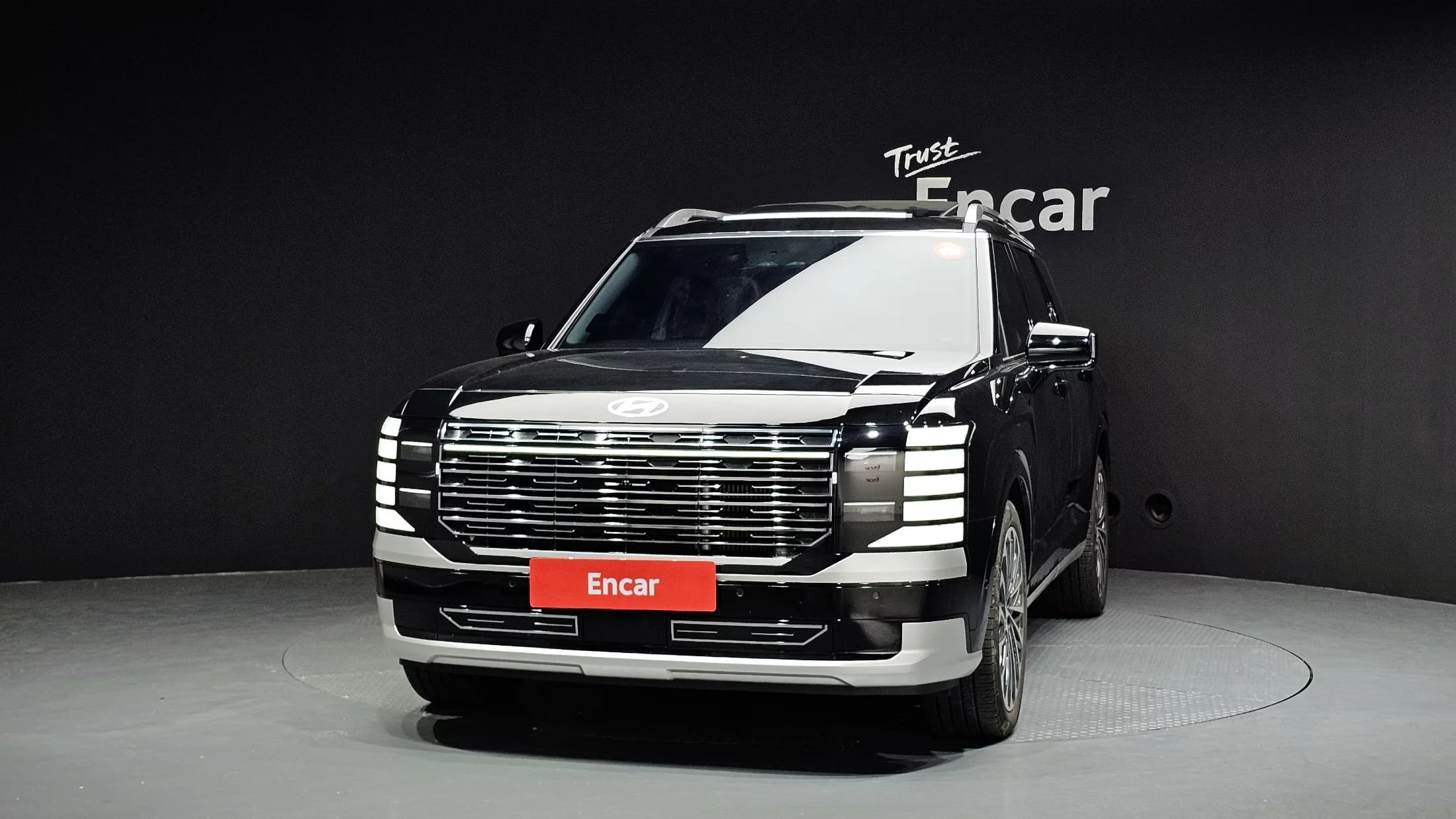Hyundai Palisade Gasoline 2.5T 4WD 7-Seater Calligraphy, 2025 г. 17616 км. — фото 3