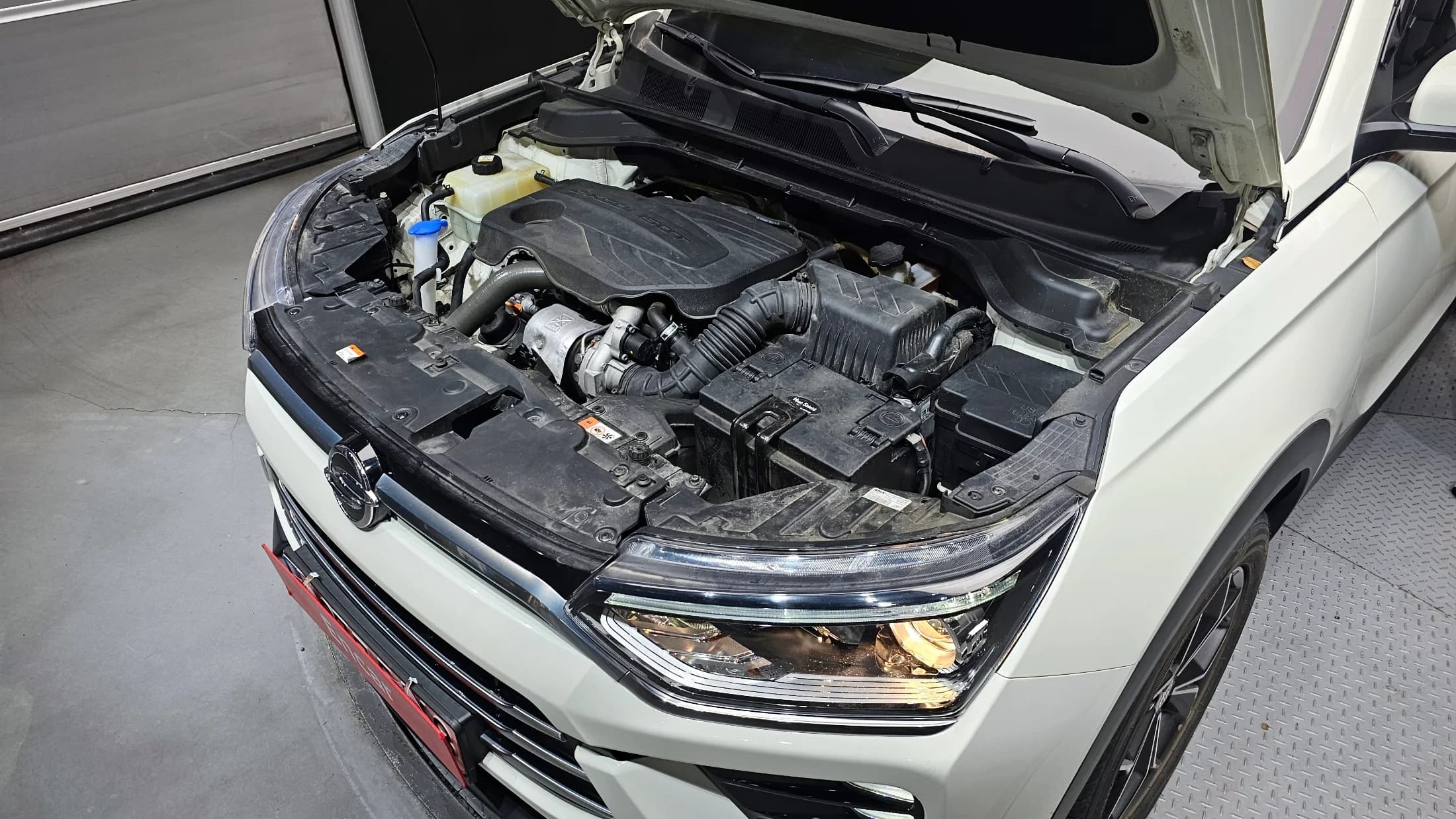 SsangYong KORANDO Gasoline 1.5 2WD C5 Plus, 2021 г. 75135 км. — фото 6