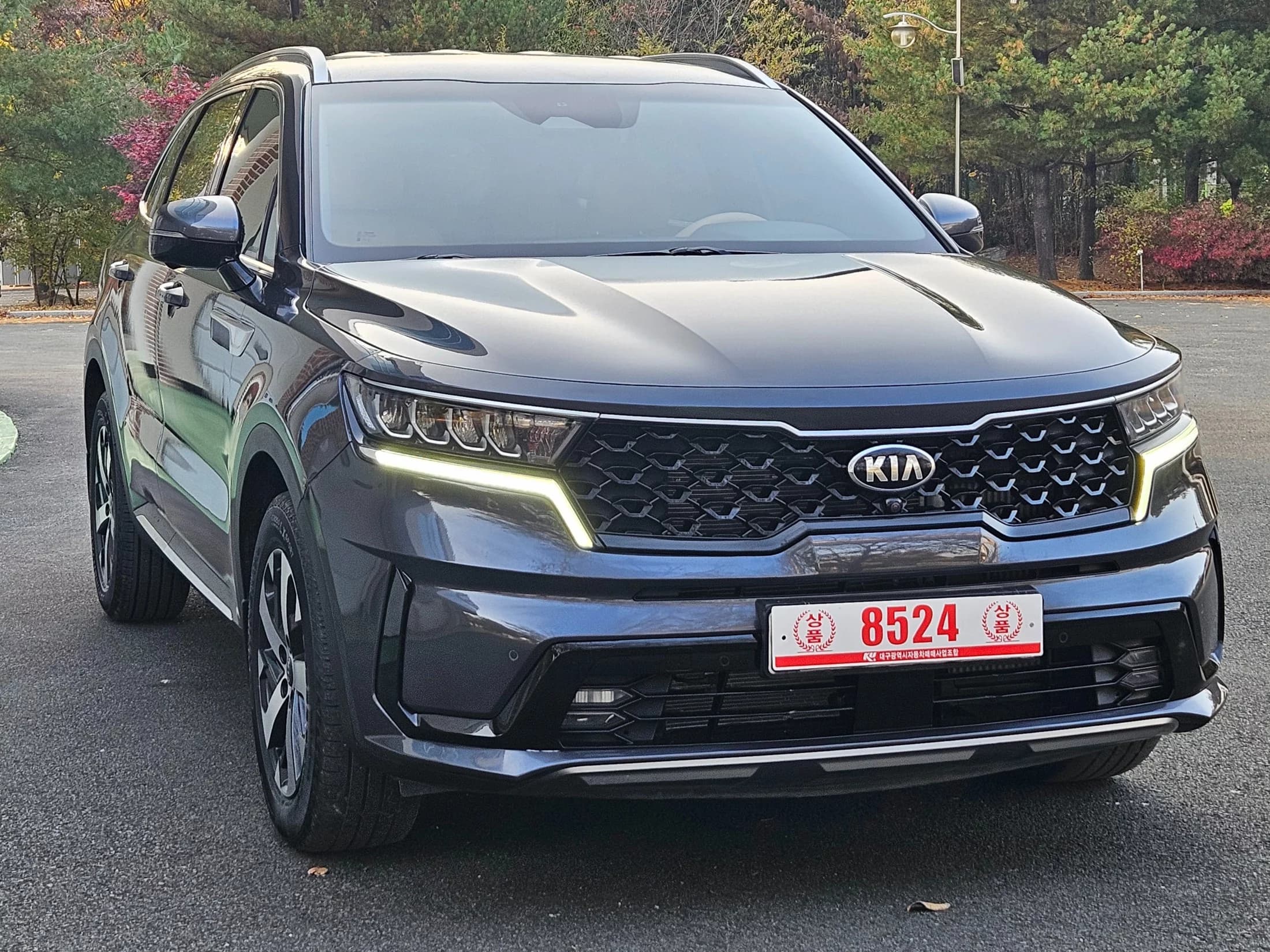 Kia Sorento Gasoline 2.5T 2WD Noblesse, 2021 г. 65797 км. — фото 2