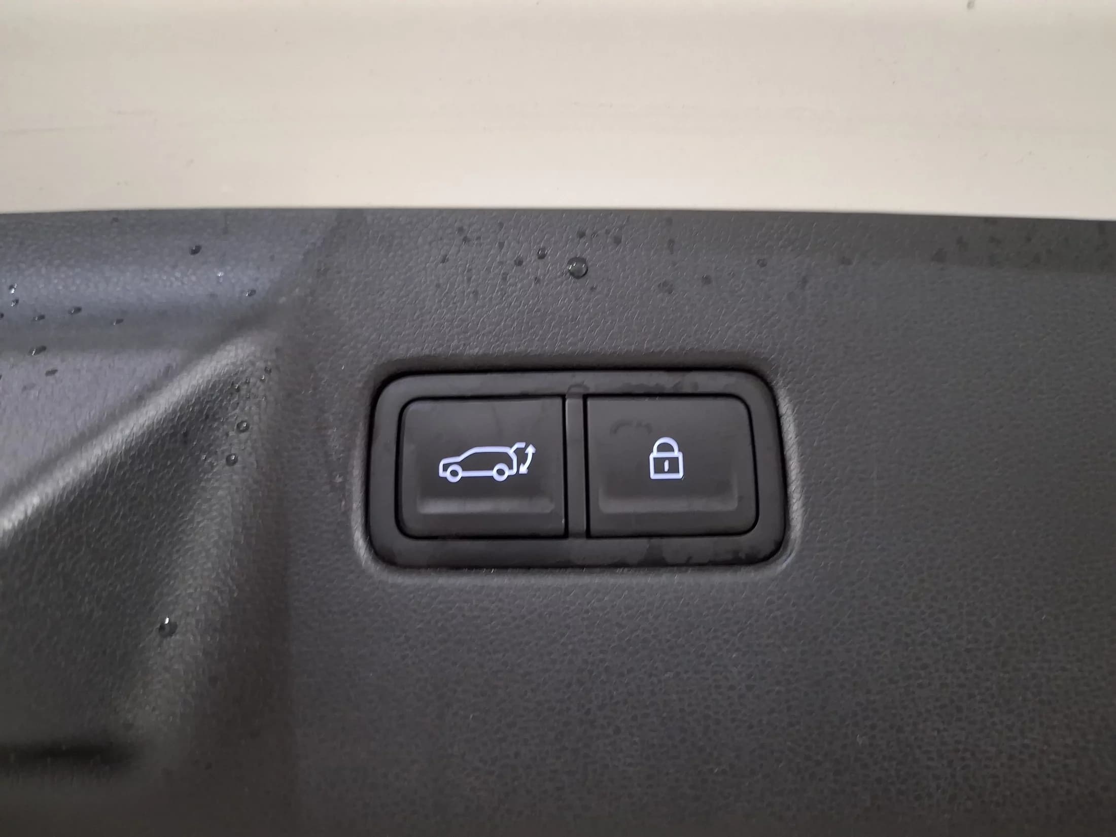 Hyundai Santa Fe Gasoline 2.5T 2WD Calligraphy, 2023 г. 22300 км. — фото 18