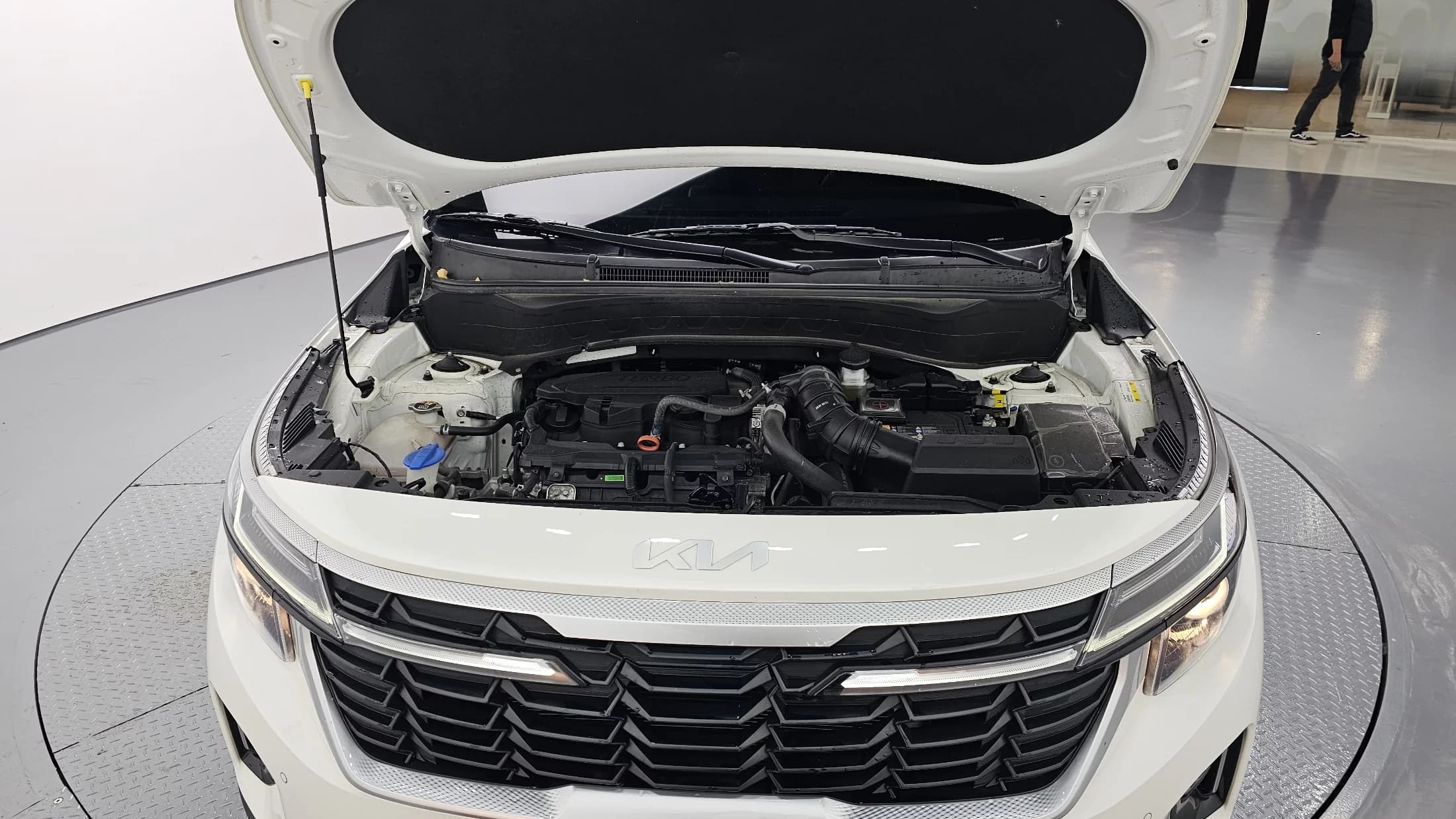 Kia Seltos Gasoline 1.6 Turbo 2WD Trendy, 2024 г. 14423 км. — фото 6