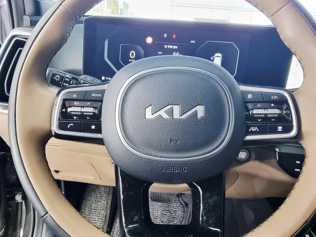 Kia Sorento Gasoline 2.5T 2WD Noblesse, 2025 г. 6917 км. — фото 14
