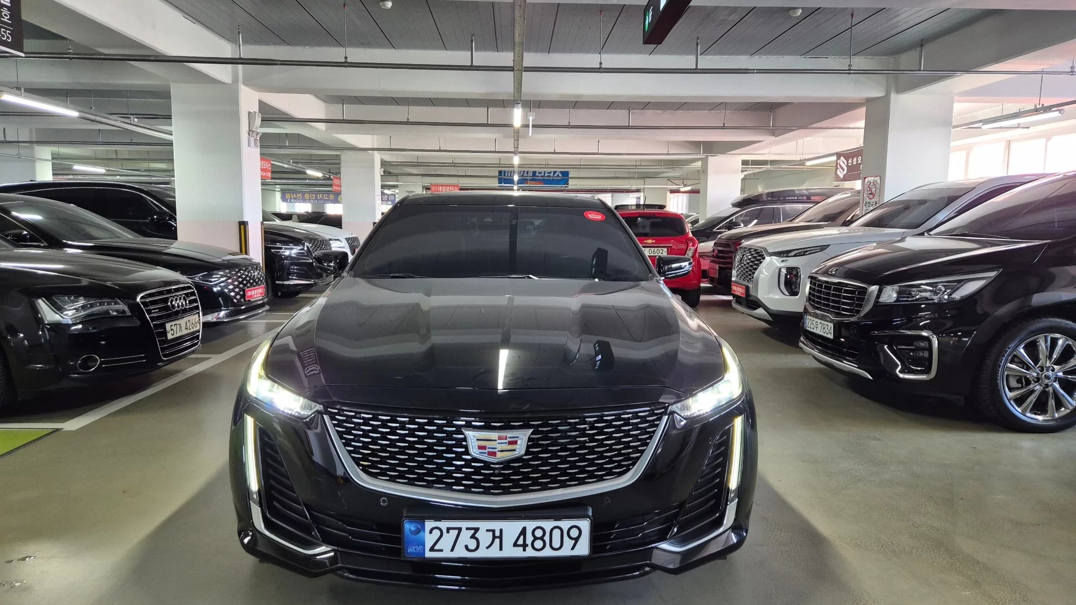 Cadillac CT5 2.0 Premium Luxury, 2023 г. 22855 км. — фото 3