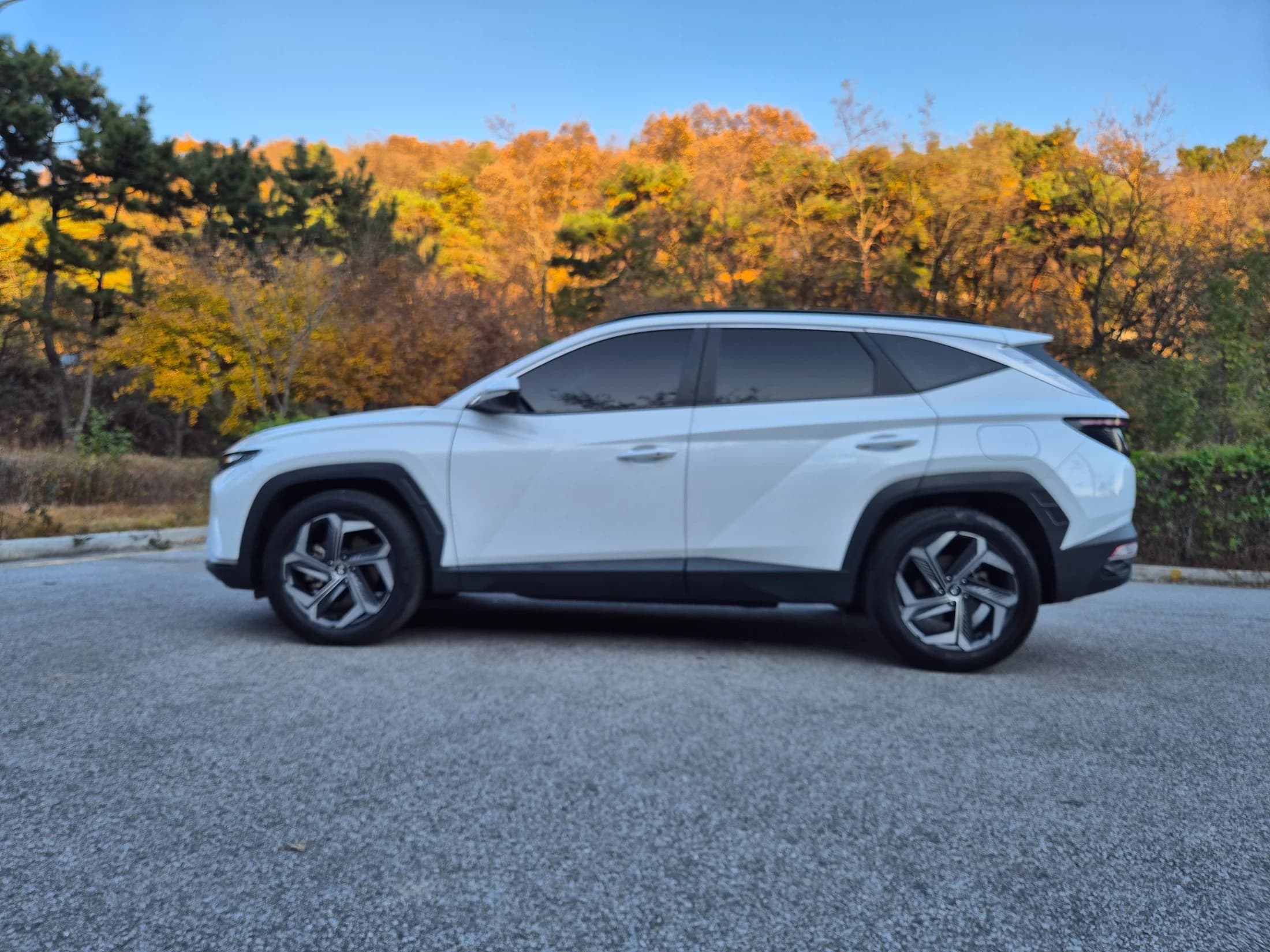 Hyundai Tucson Diesel 2.0 2WD Premium, 2021 г. 96836 км. — фото 3