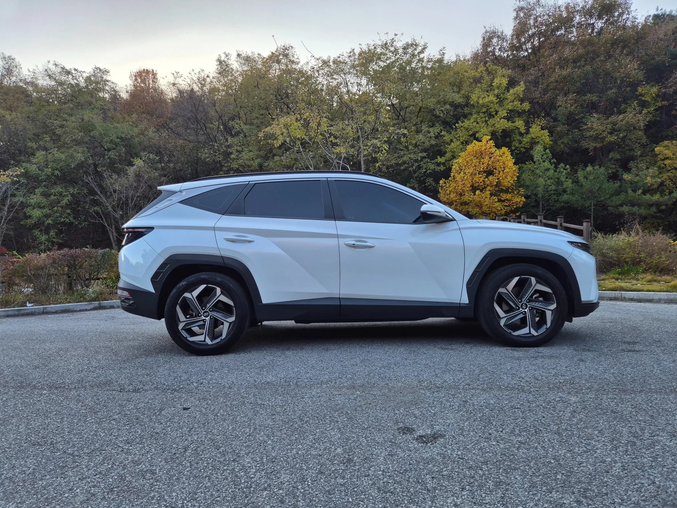Hyundai Tucson Diesel 2.0 2WD Premium, 2021 г. 96836 км. — фото 7