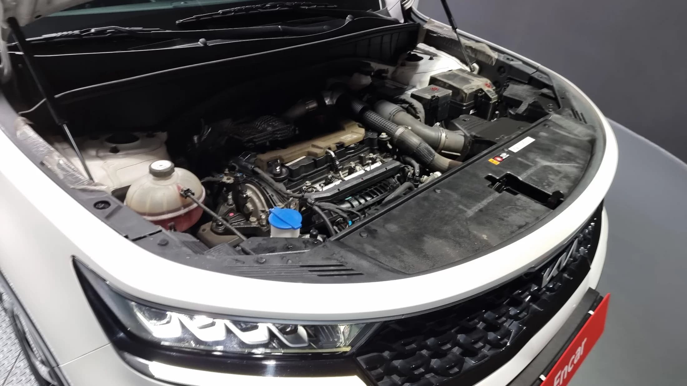 Kia Sorento Gasoline 2.5T 2WD Trendy, 2022 г. 112730 км. — фото 6