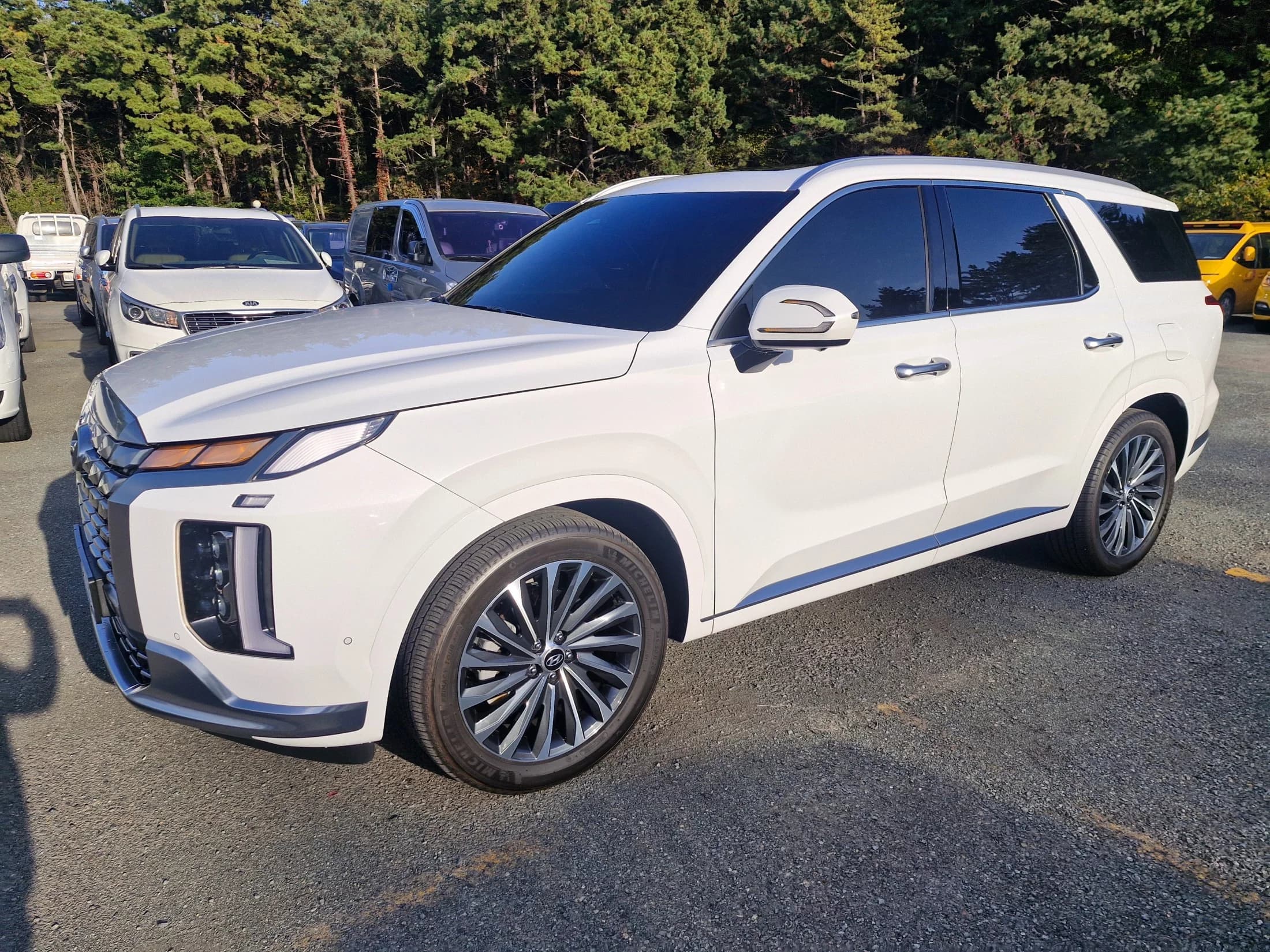 Hyundai Palisade Diesel 2.2 2WD Calligraphy, 2022 г. 49622 км. — фото 3