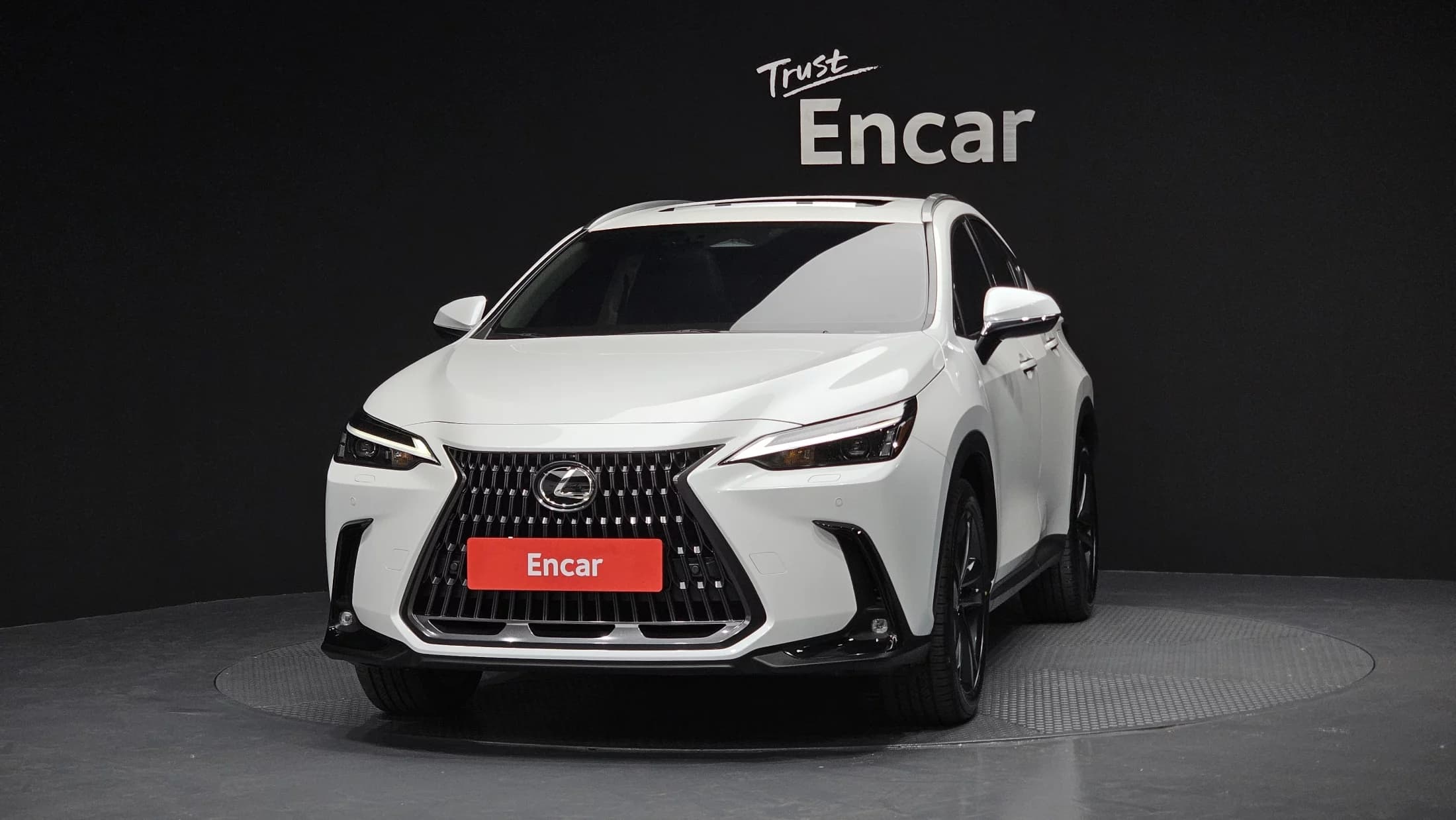 Lexus NX350h Premium, гибрид, 2024 г. 38032 км. — фото 3