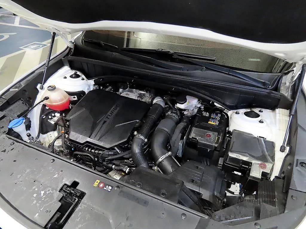 Kia Sorento Gasoline 2.5T 2WD Prestige, 2021 г. 44310 км. — фото 19