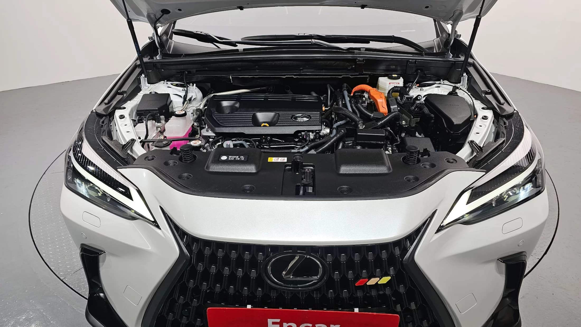 Lexus NX350h Premium, гибрид, 2023 г. 19077 км. — фото 6