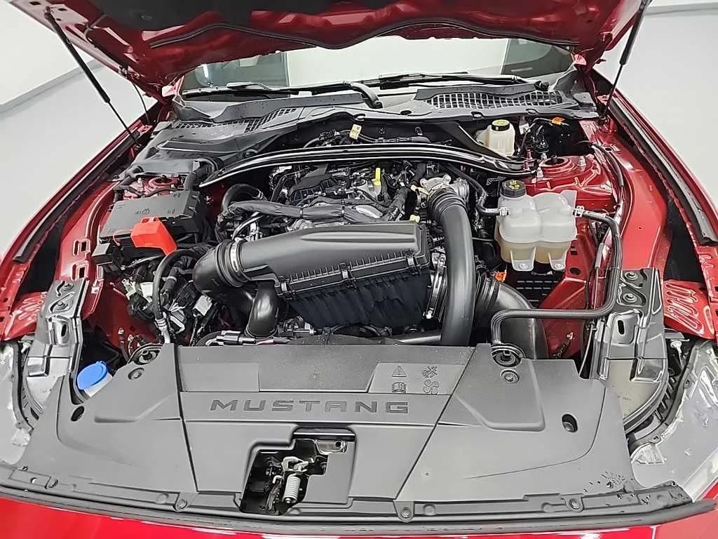 Ford MUSTANG 2.3 Ecoboost Premium Convertible, 2024 г. 4342 км. — фото 5