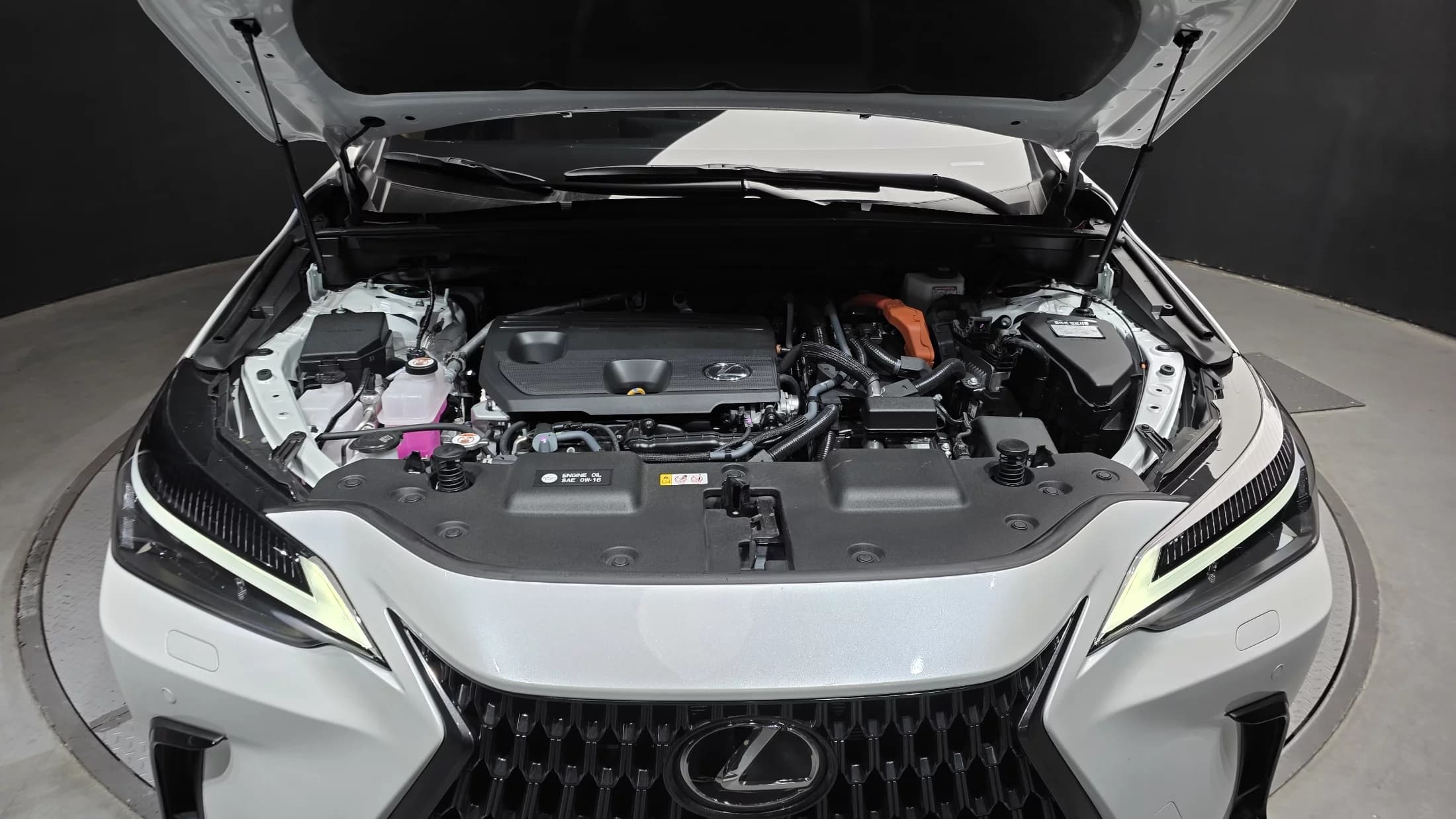 Lexus NX350h Premium, гибрид, 2024 г. 5941 км. — фото 6