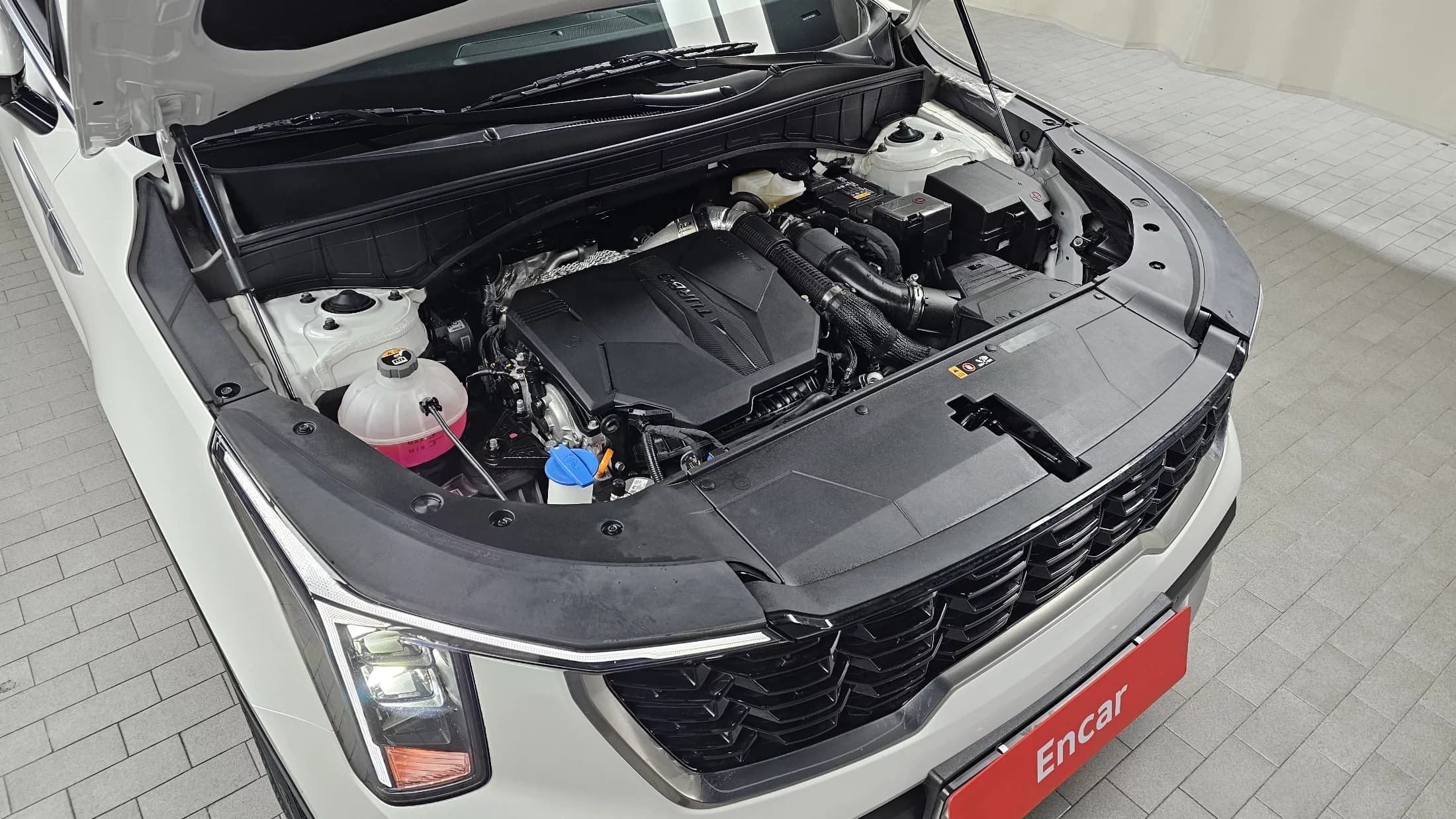 Kia Sorento Gasoline 2.5T 2WD Prestige, 2024 г. 19515 км. — фото 6
