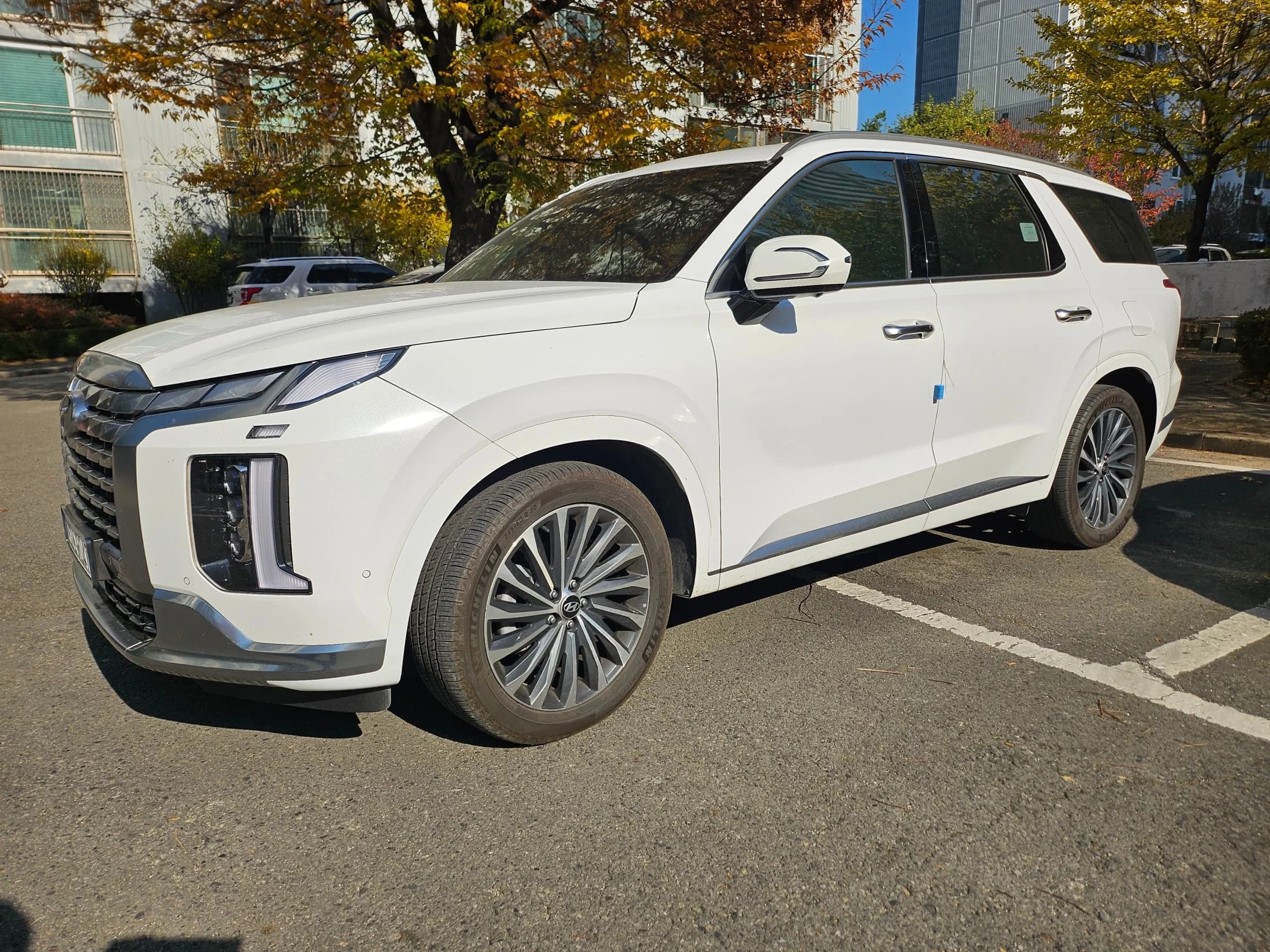 Hyundai Palisade Diesel 2.2 4WD VIP, 2024 г. 56413 км.