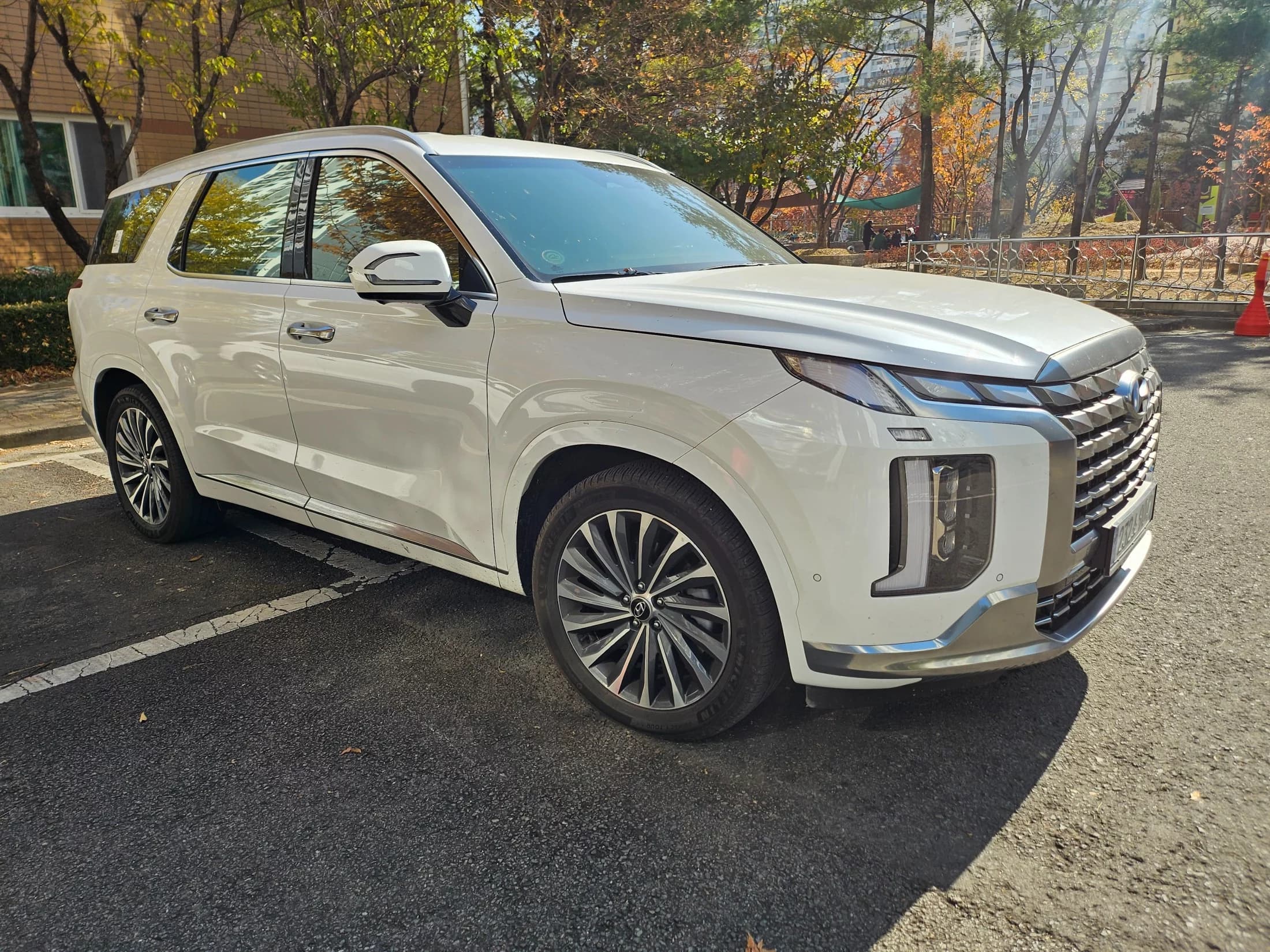 Hyundai Palisade Diesel 2.2 4WD VIP, 2024 г. 56413 км. — фото 2