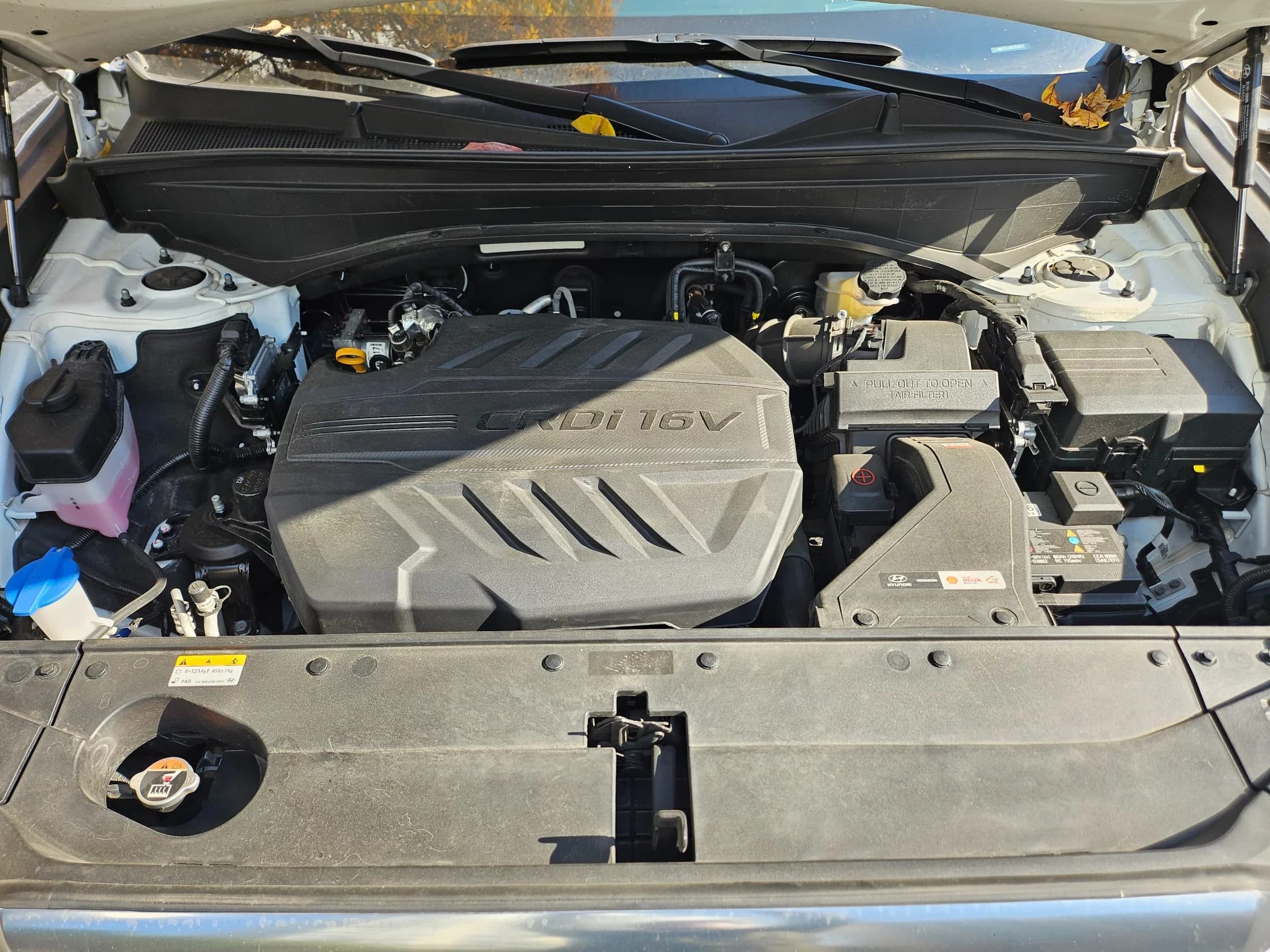 Hyundai Palisade Diesel 2.2 4WD VIP, 2024 г. 56413 км. — фото 18