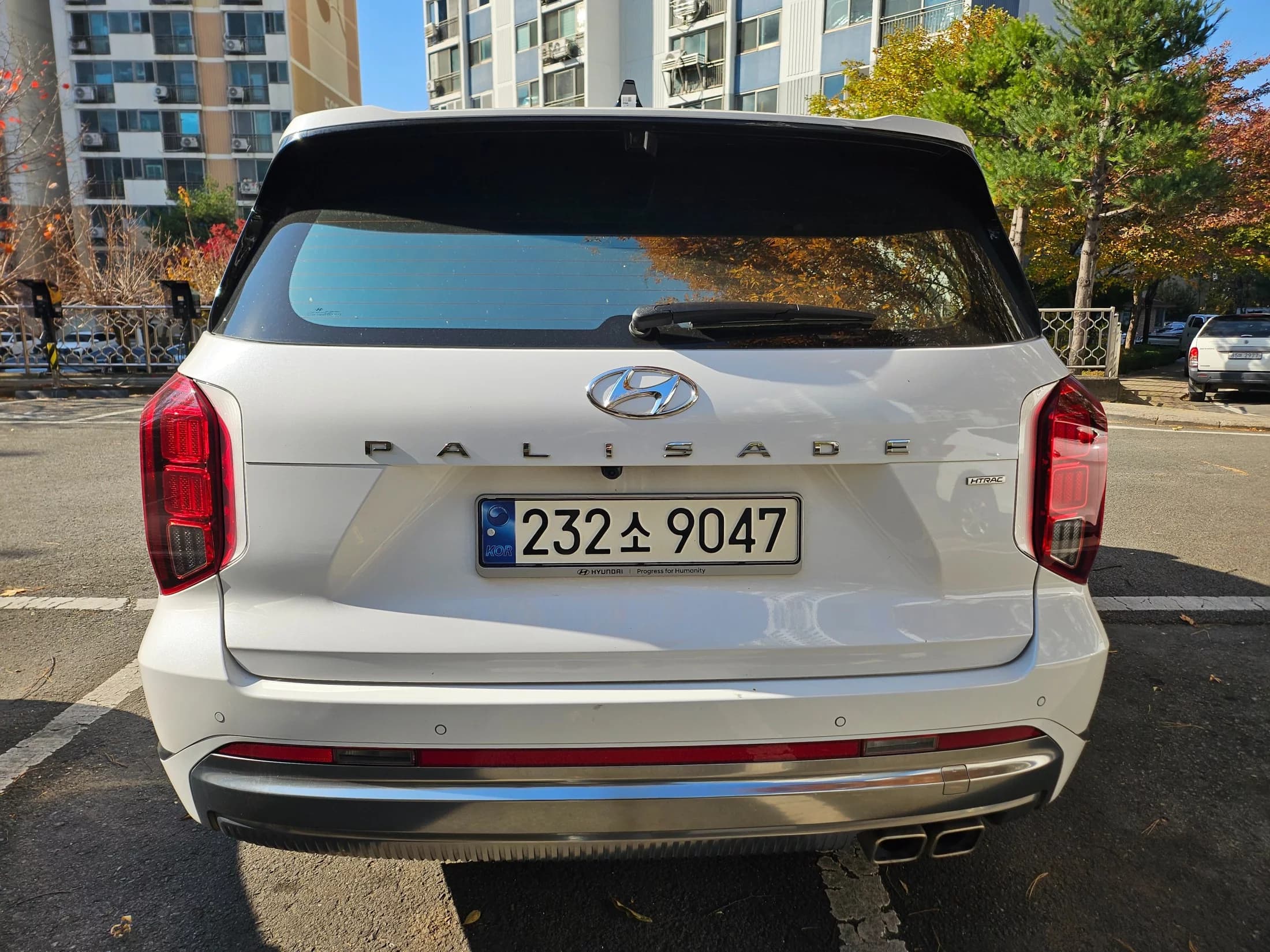 Hyundai Palisade Diesel 2.2 4WD VIP, 2024 г. 56413 км. — фото 4