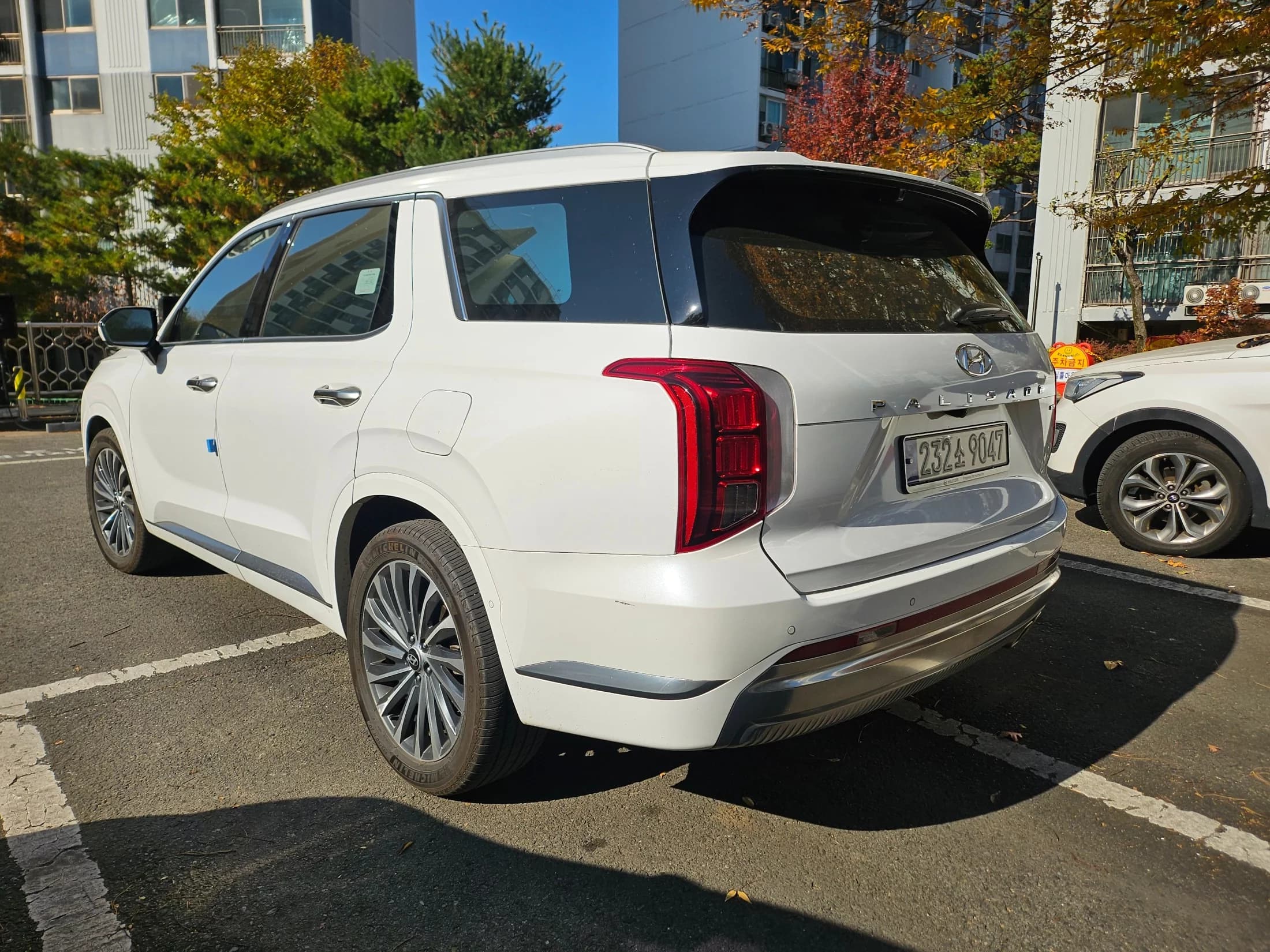 Hyundai Palisade Diesel 2.2 4WD VIP, 2024 г. 56413 км. — фото 6