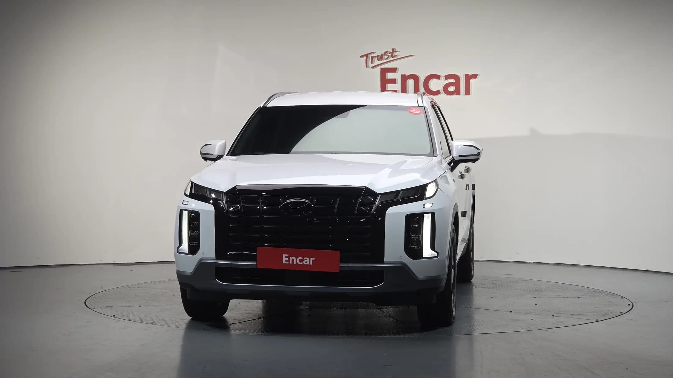 Hyundai Palisade Diesel 2.2 2WD Le Blanc, 2024 г. 8257 км. — фото 3