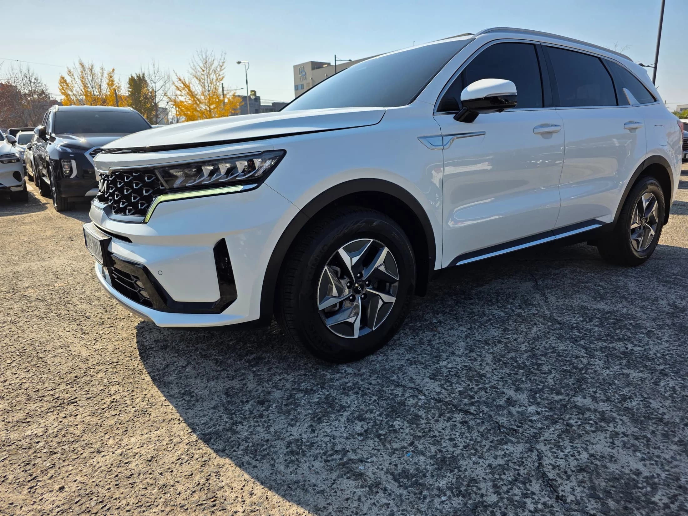 Kia Sorento HEV 1.6 2WD Noblesse, гибрид, 2022 г. 101951 км. — фото 2