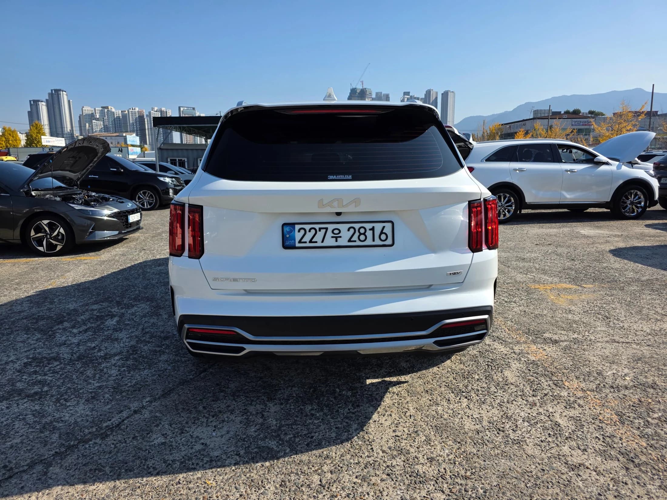Kia Sorento HEV 1.6 2WD Noblesse, гибрид, 2022 г. 101951 км. — фото 3