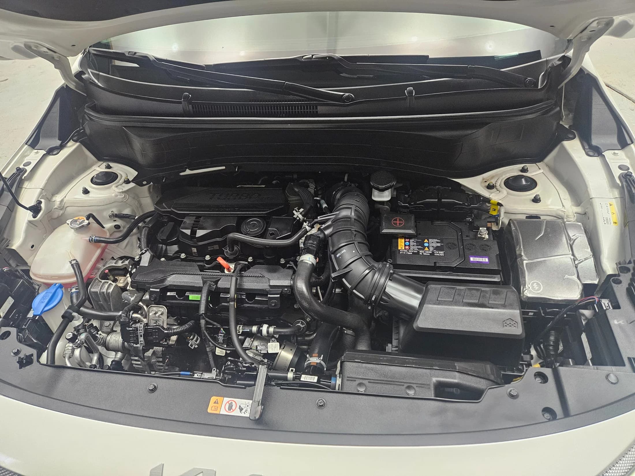 Kia Seltos Gasoline 1.6 Turbo 4WD Trendy, 2024 г. 23681 км. — фото 16