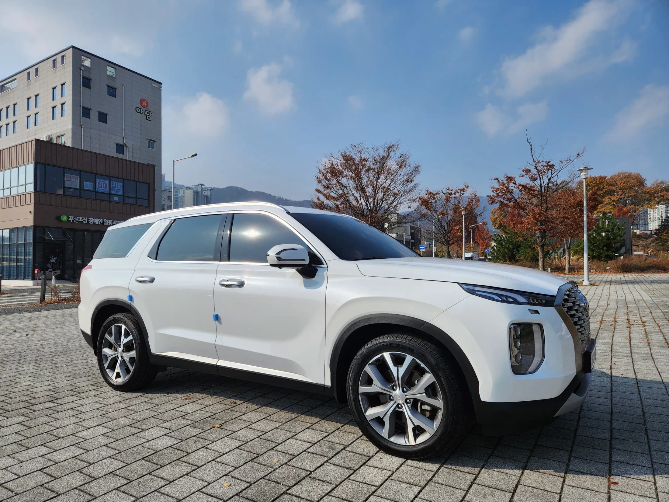 Hyundai Palisade Diesel 2.2 2WD Prestige, 2022 г. 80097 км. — фото 6
