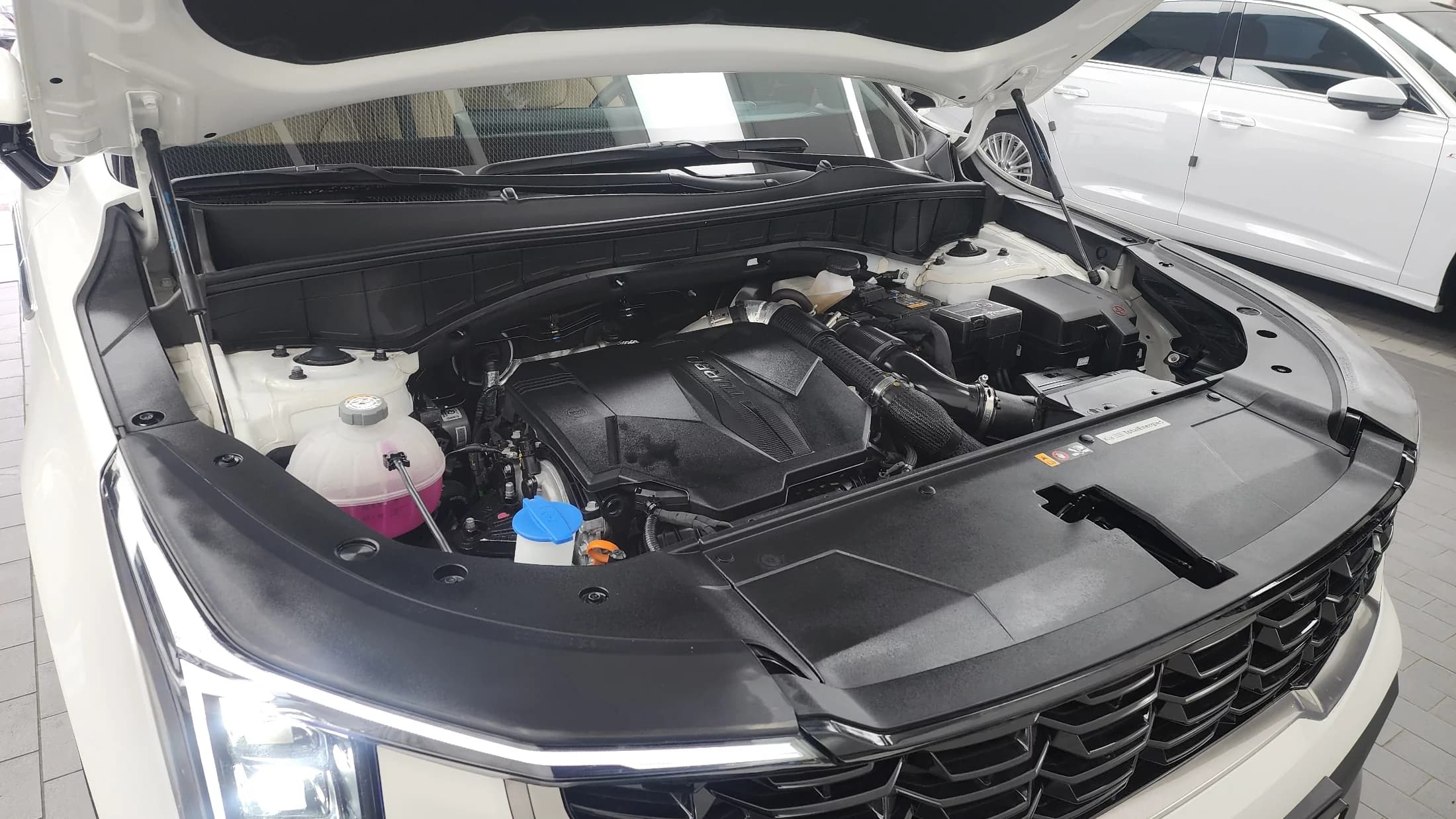Kia Sorento Gasoline 2.5T 2WD Prestige, 2024 г. 15522 км. — фото 6
