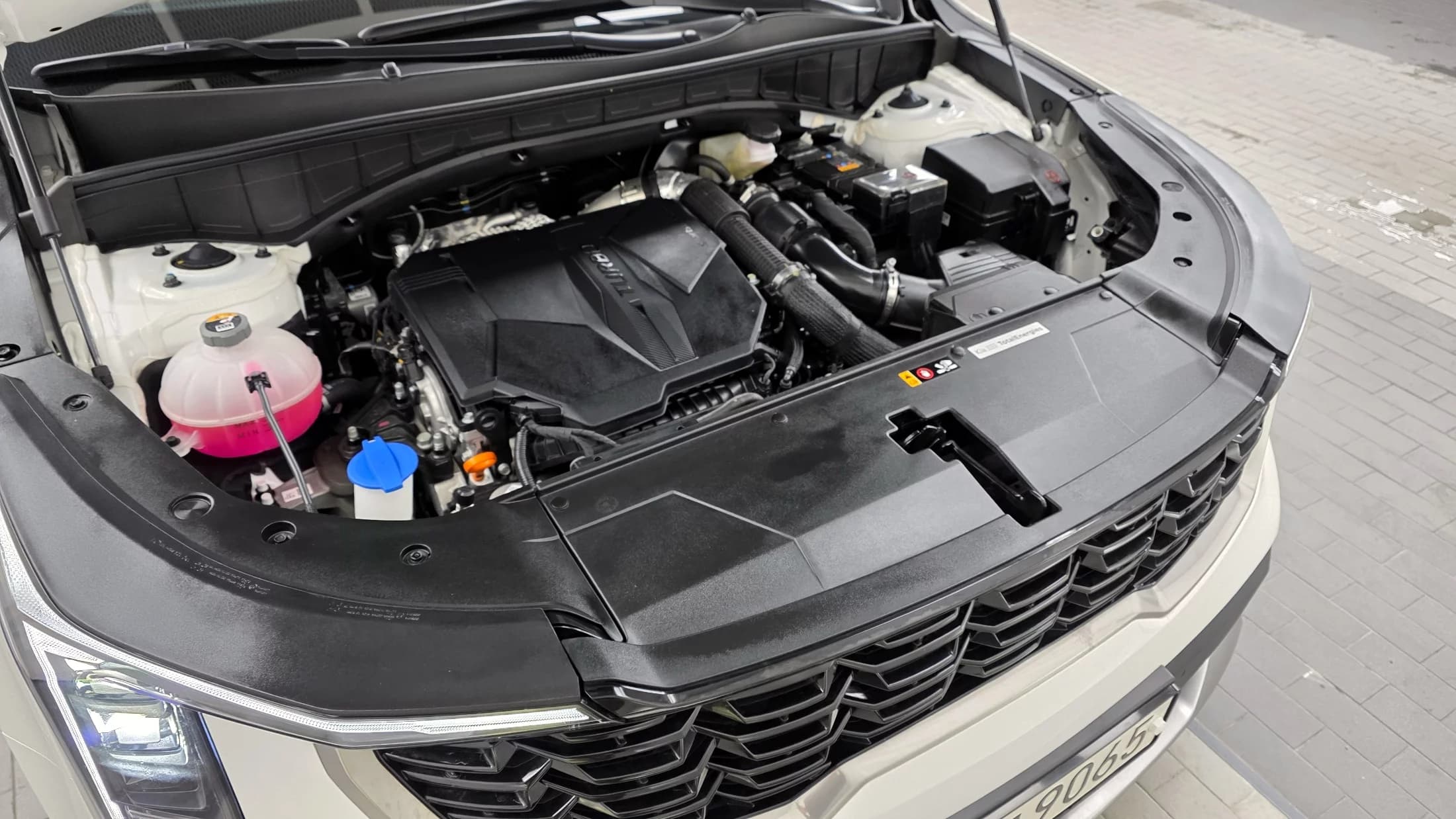 Kia Sorento Gasoline 2.5T 2WD Prestige, 2024 г. 14116 км. — фото 6
