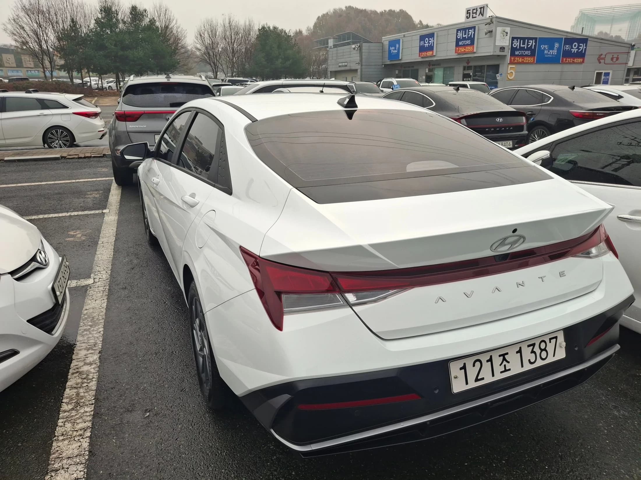 Hyundai AVANTE (Хендай Элантра) 1.6 Modern, 2024 г. 53750 км. — фото 14