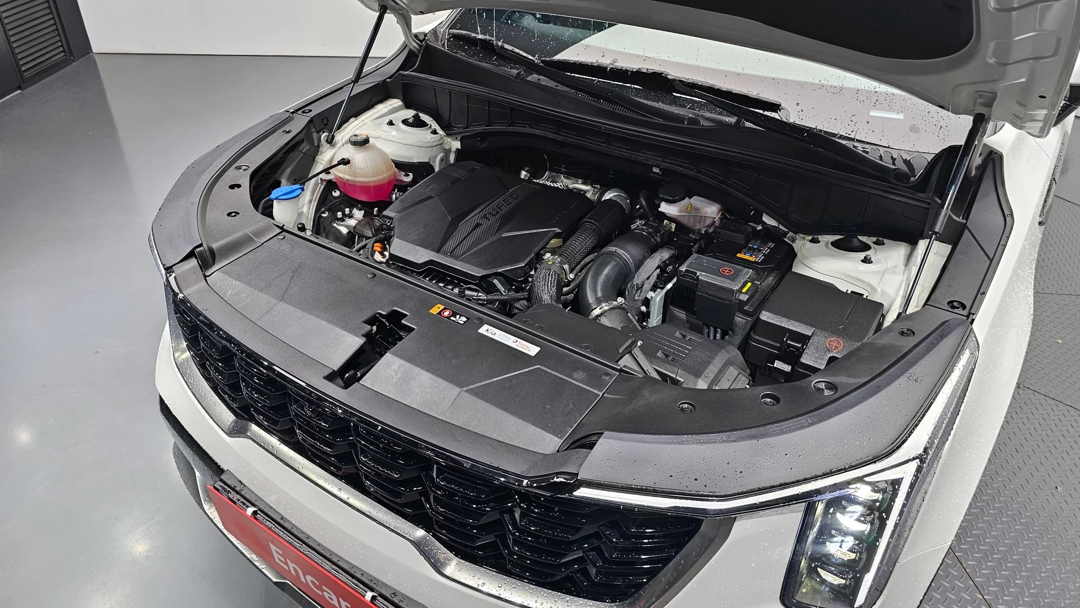 Kia Sorento Gasoline 2.5T 2WD Signature, 2024 г. 19714 км. — фото 6