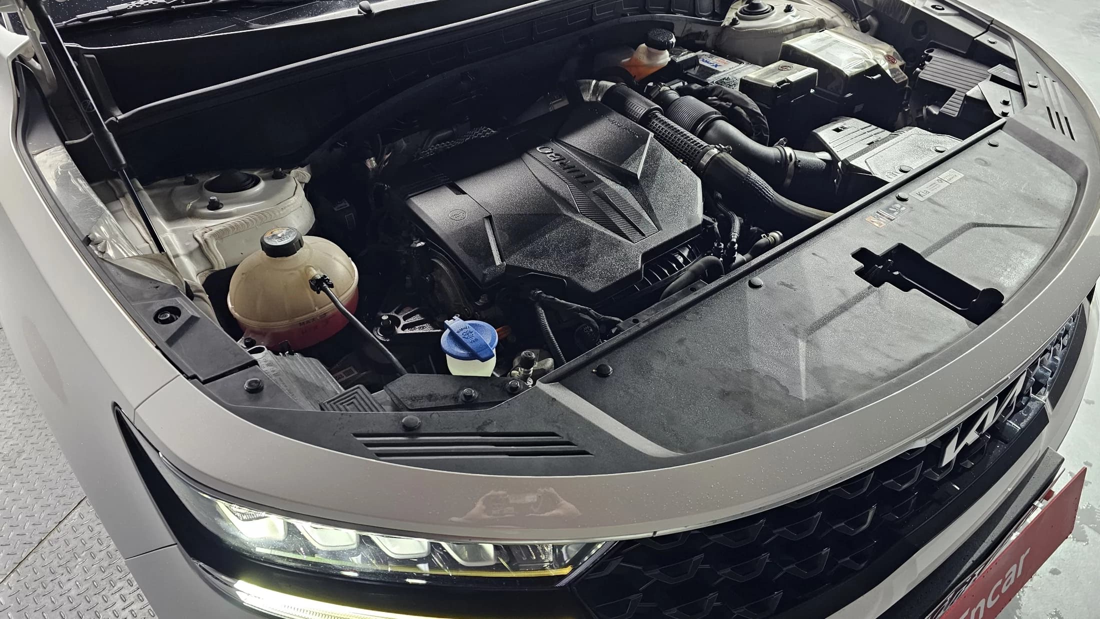 Kia Sorento Gasoline 2.5T 2WD Trendy, 2022 г. 117826 км. — фото 6
