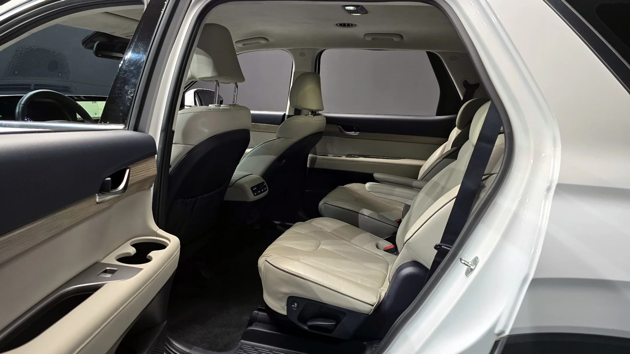 Hyundai Palisade Diesel 2.2 2WD Prestige, 2021 г. 119348 км. — фото 12