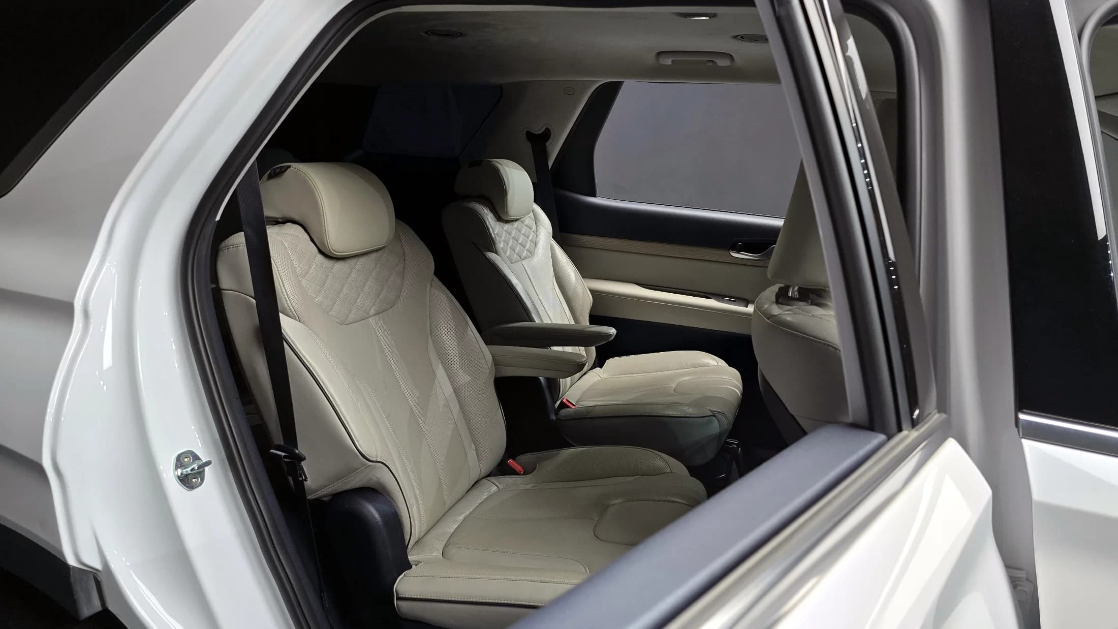 Hyundai Palisade Diesel 2.2 2WD Prestige, 2021 г. 119348 км. — фото 13