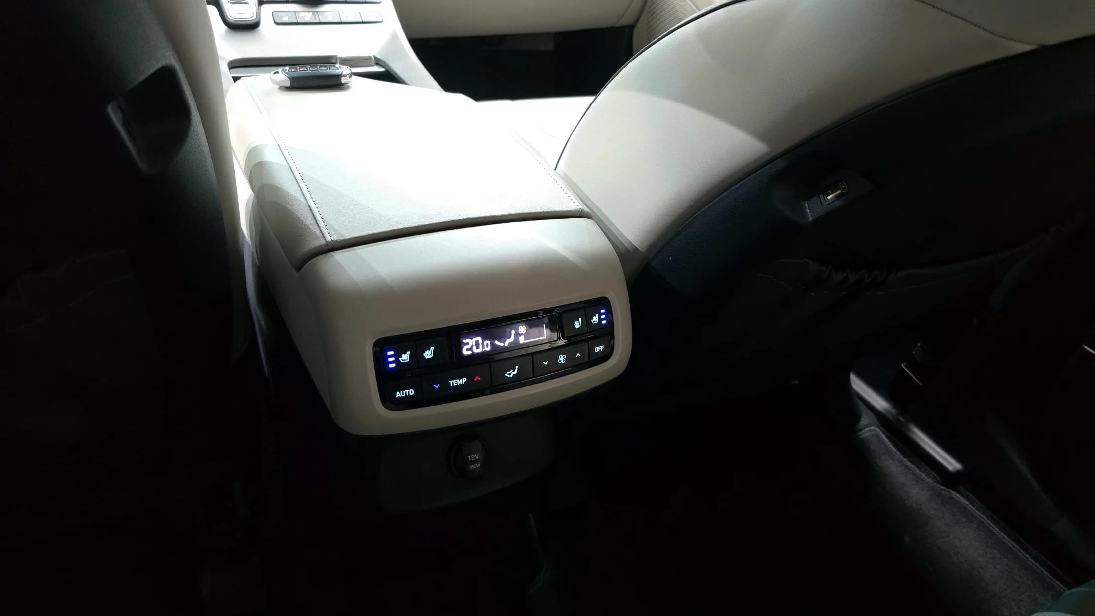 Hyundai Palisade Diesel 2.2 2WD Prestige, 2021 г. 119348 км. — фото 18
