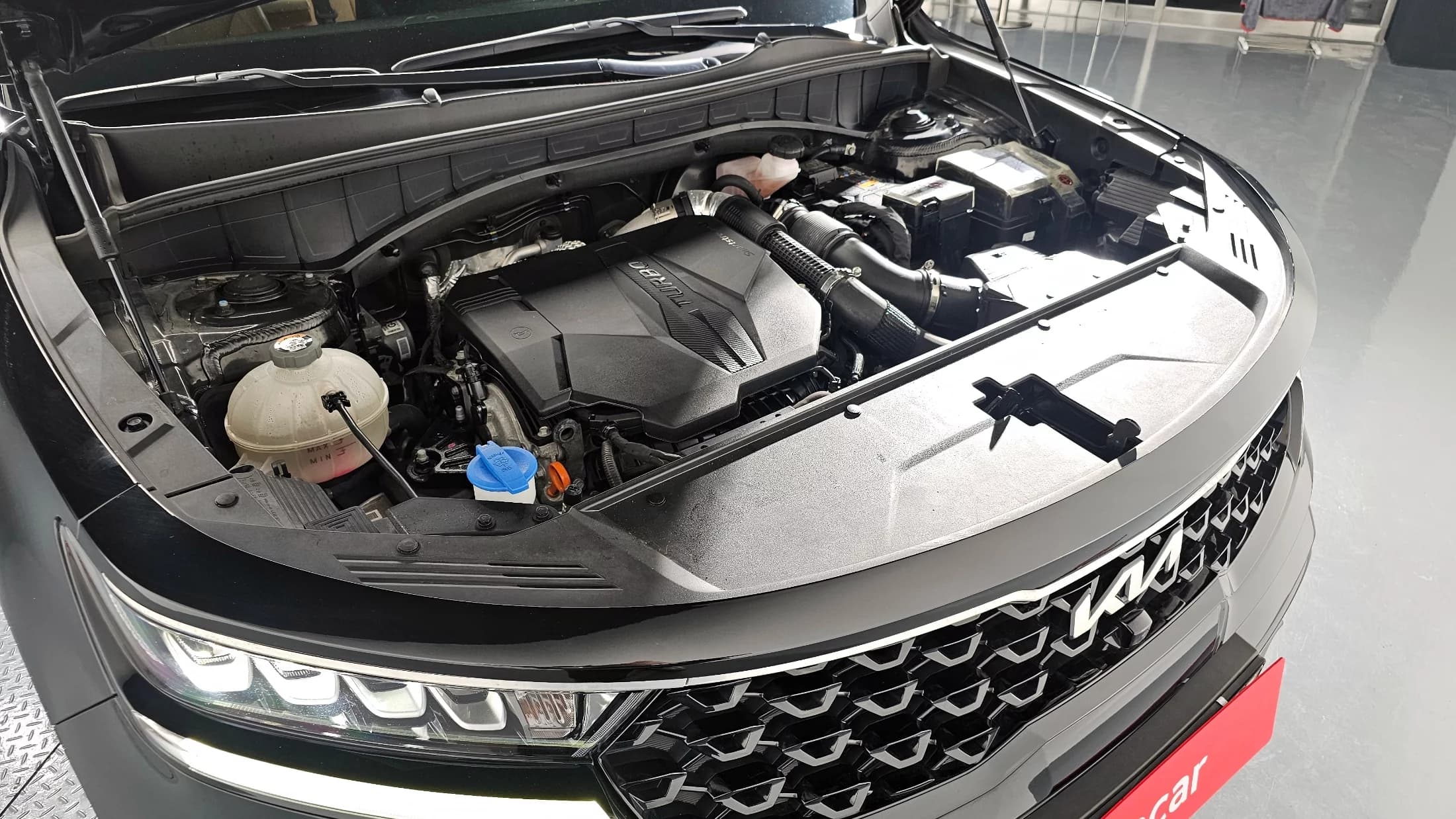 Kia Sorento Gasoline 2.5T 2WD Noblesse, 2022 г. 64704 км. — фото 6