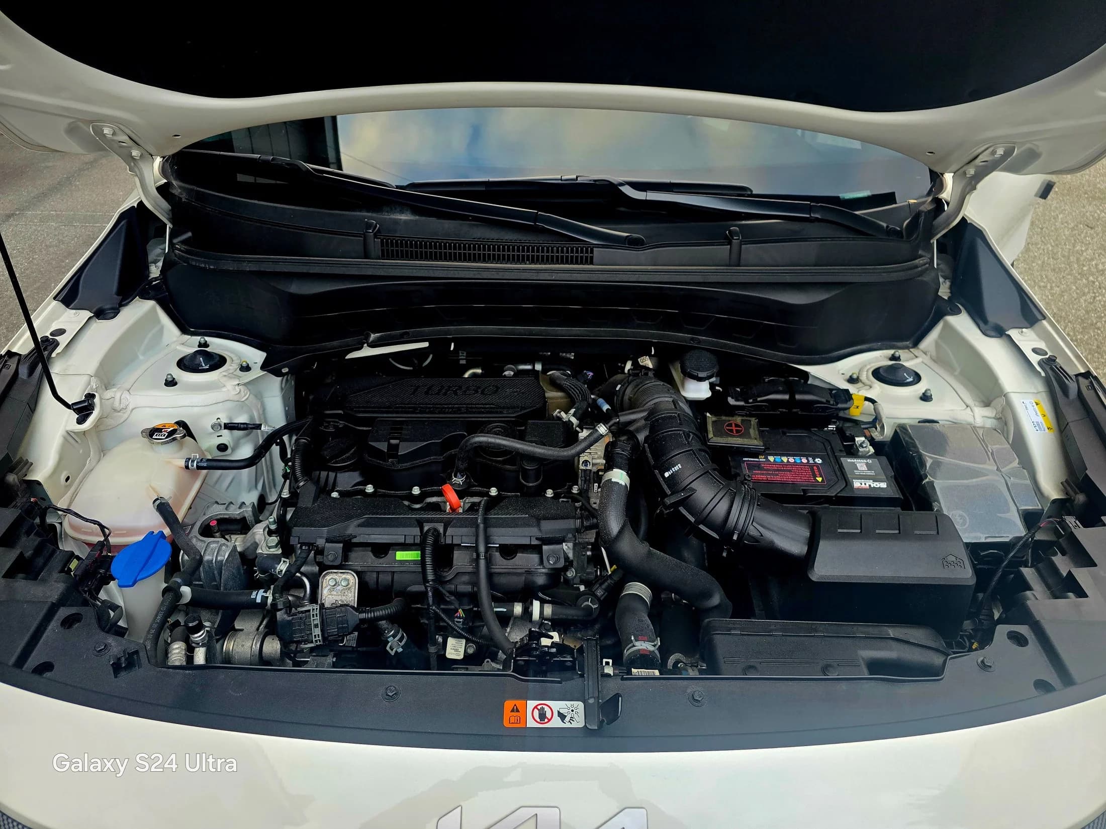 Kia Seltos Gasoline 1.6 Turbo 4WD Gravity, 2023 г. 38524 км. — фото 6