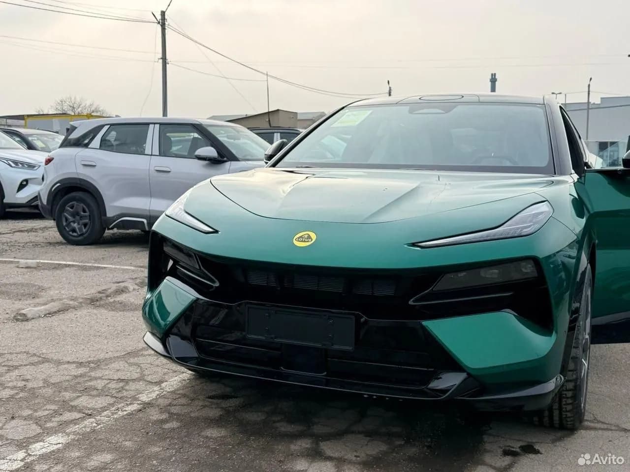 Lotus For Me
