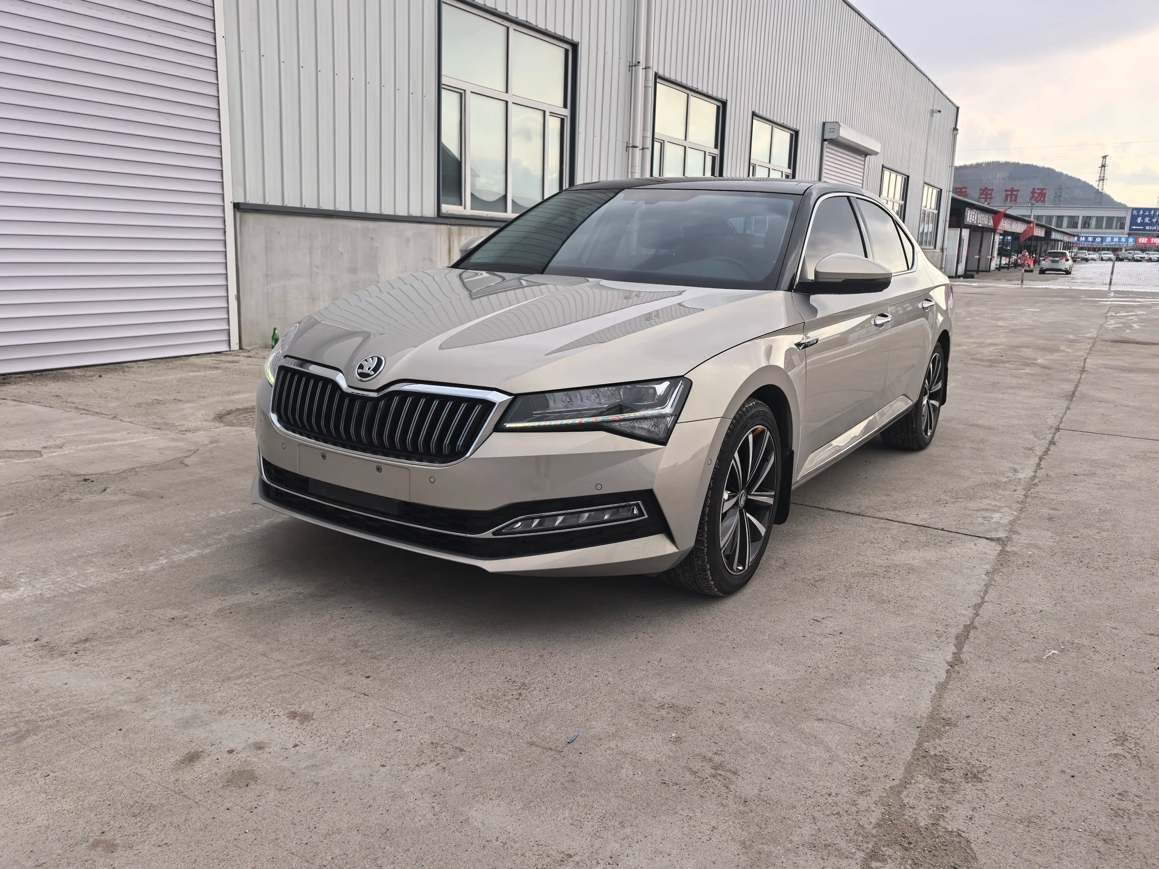 Skoda Speedy 2023 г. 15894 км.